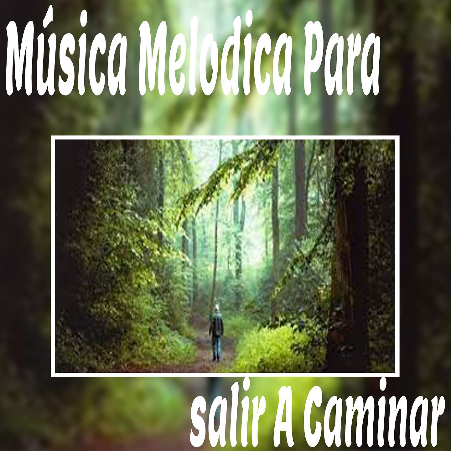 Постер альбома Música Melodica Para salir A Caminar