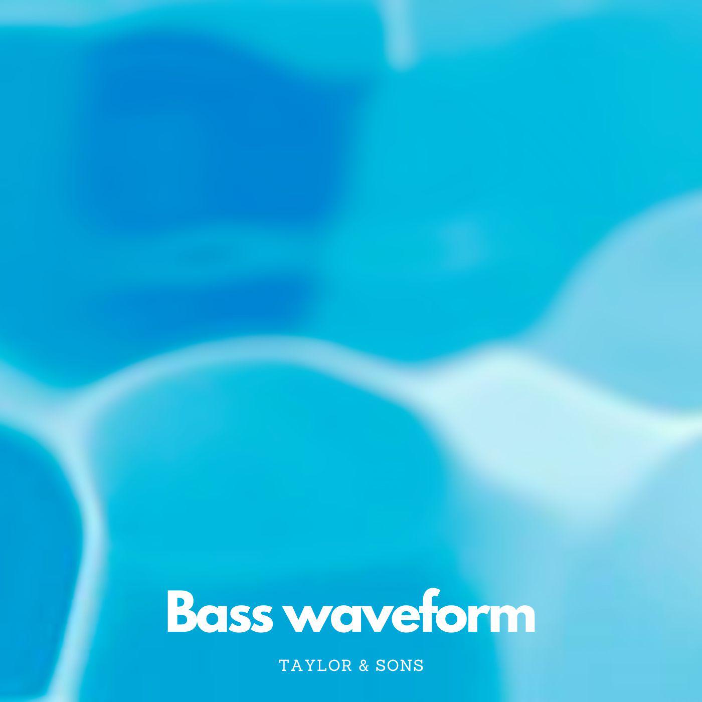 Постер альбома Bass Waveform