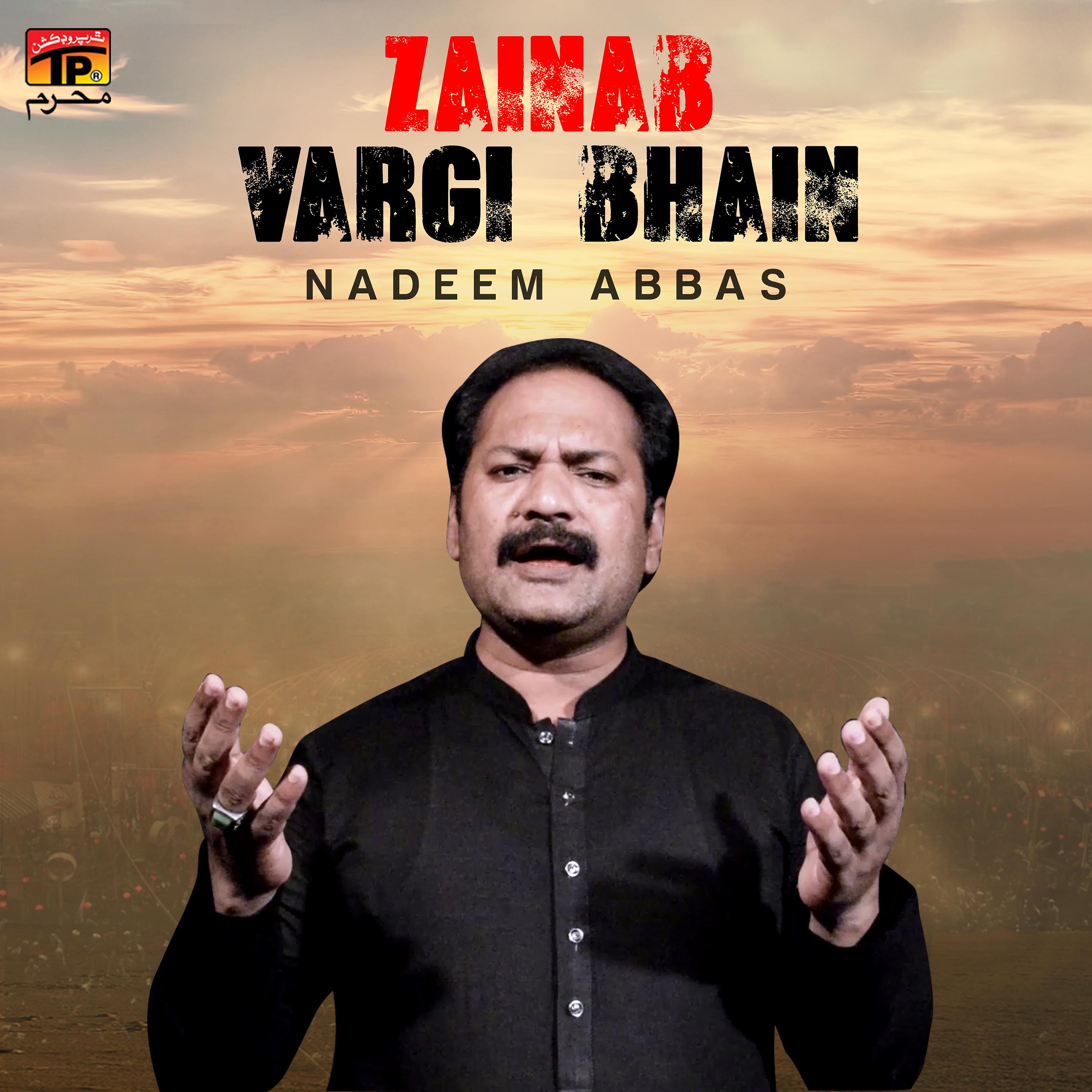 Постер альбома Zainab Vargi Bhain - Single