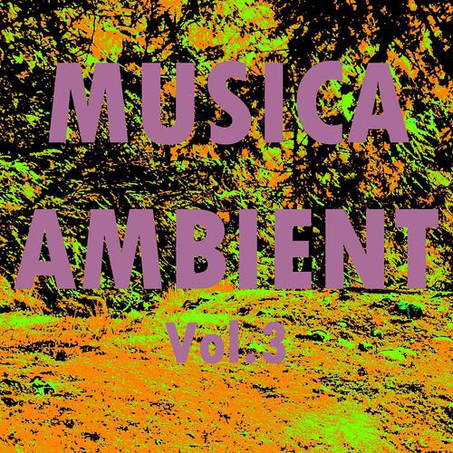 Постер альбома Musica ambient, vol. 3