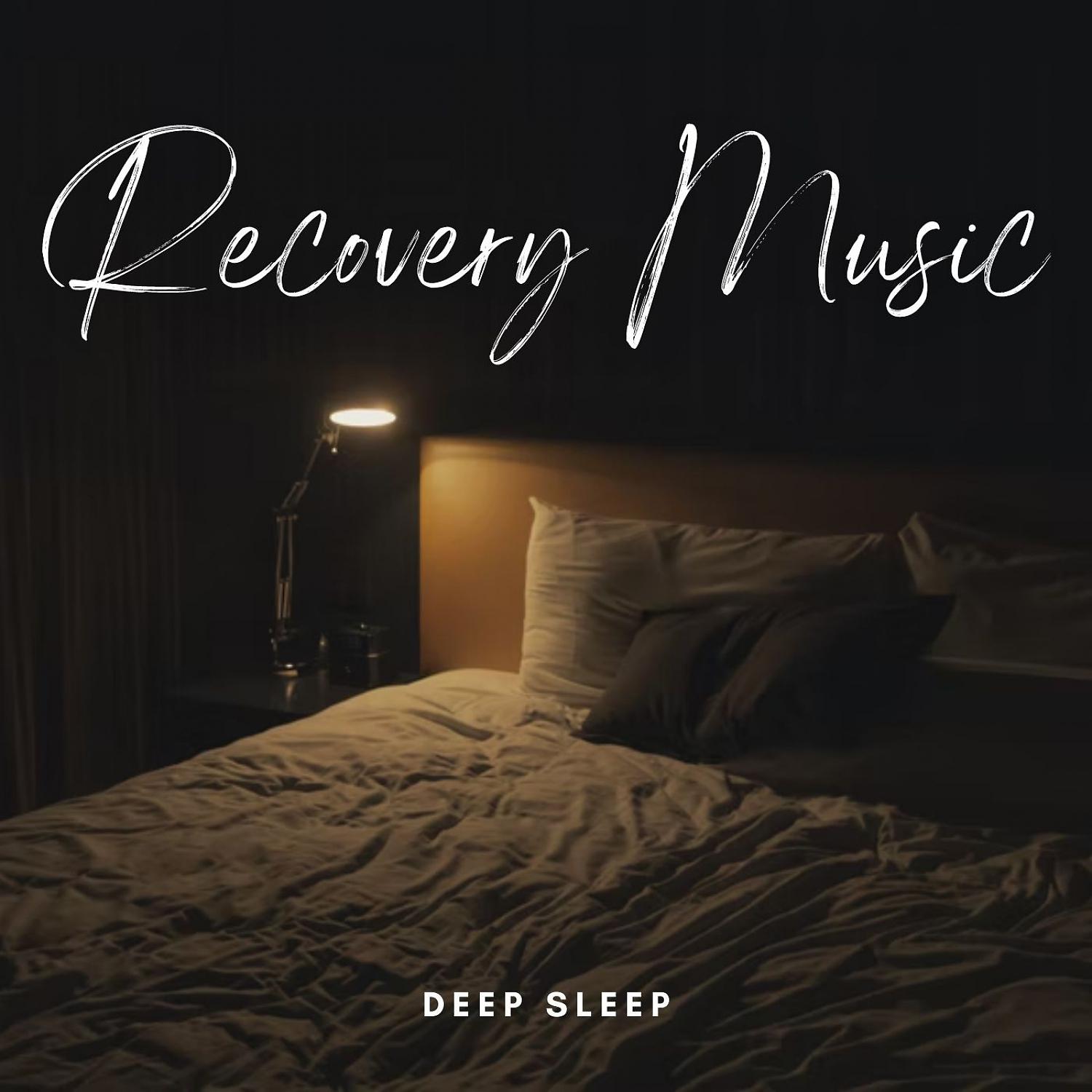 Постер альбома Deep Sleep: Recovery Music