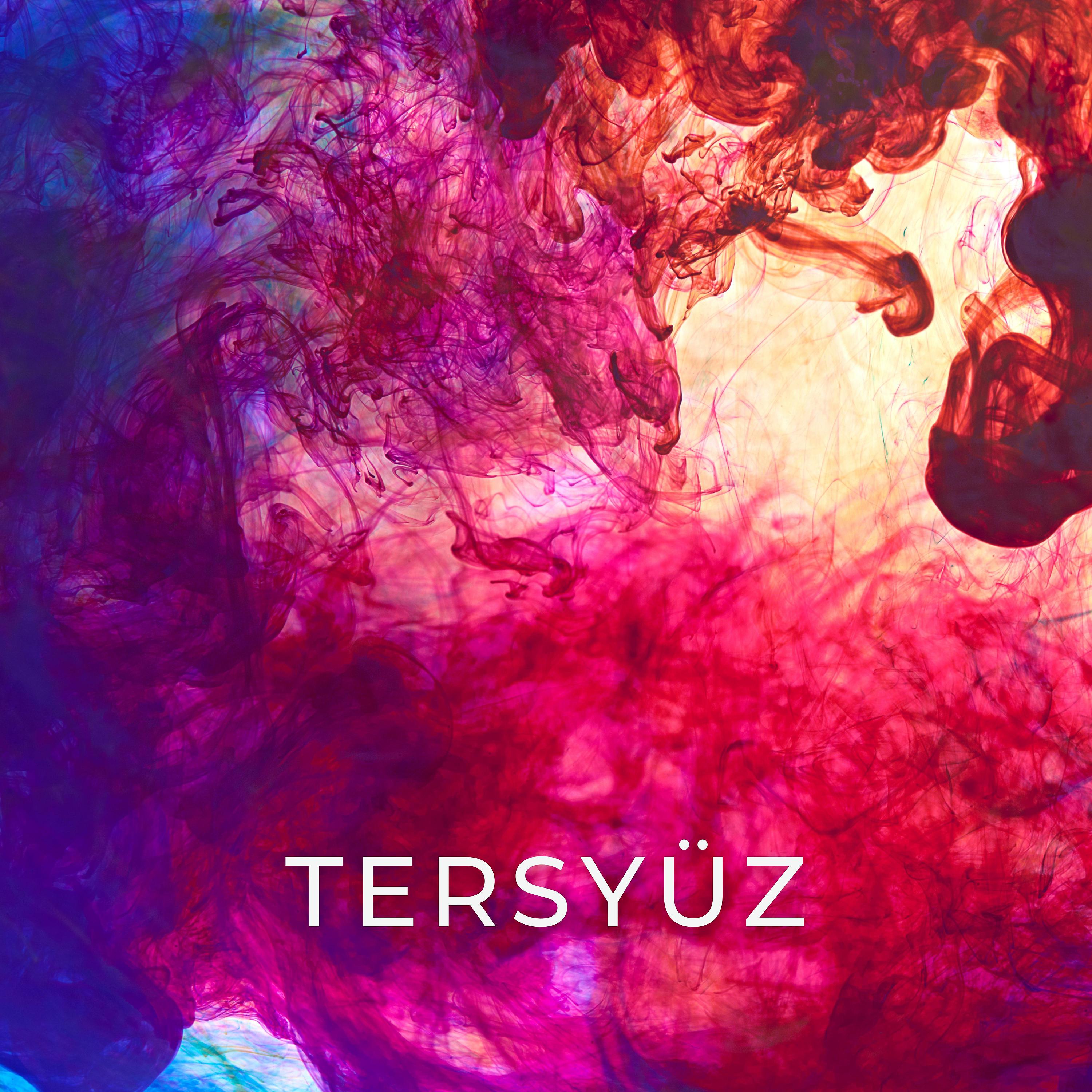 Постер альбома Tersyüz