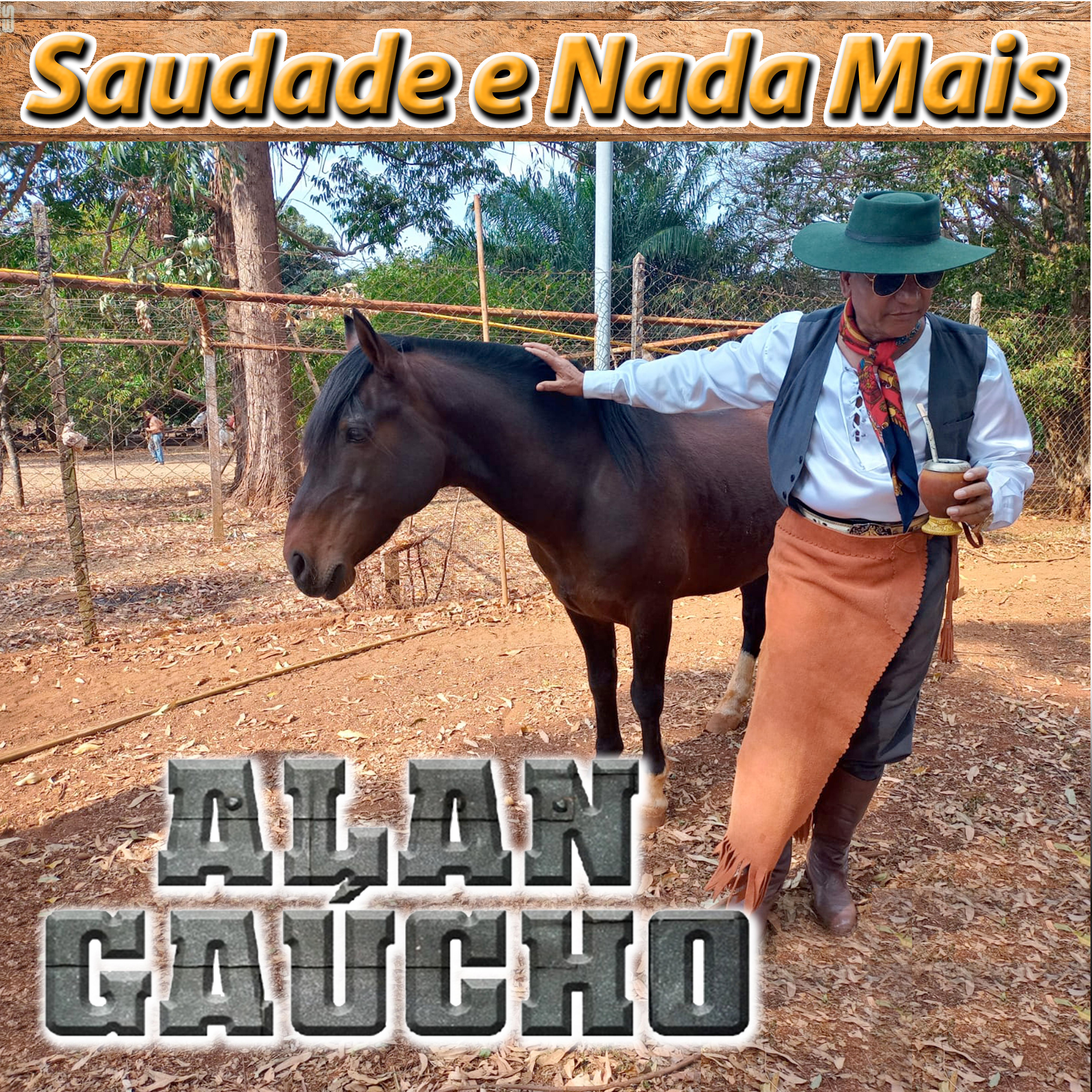 Постер альбома Saudade e Nada Mais