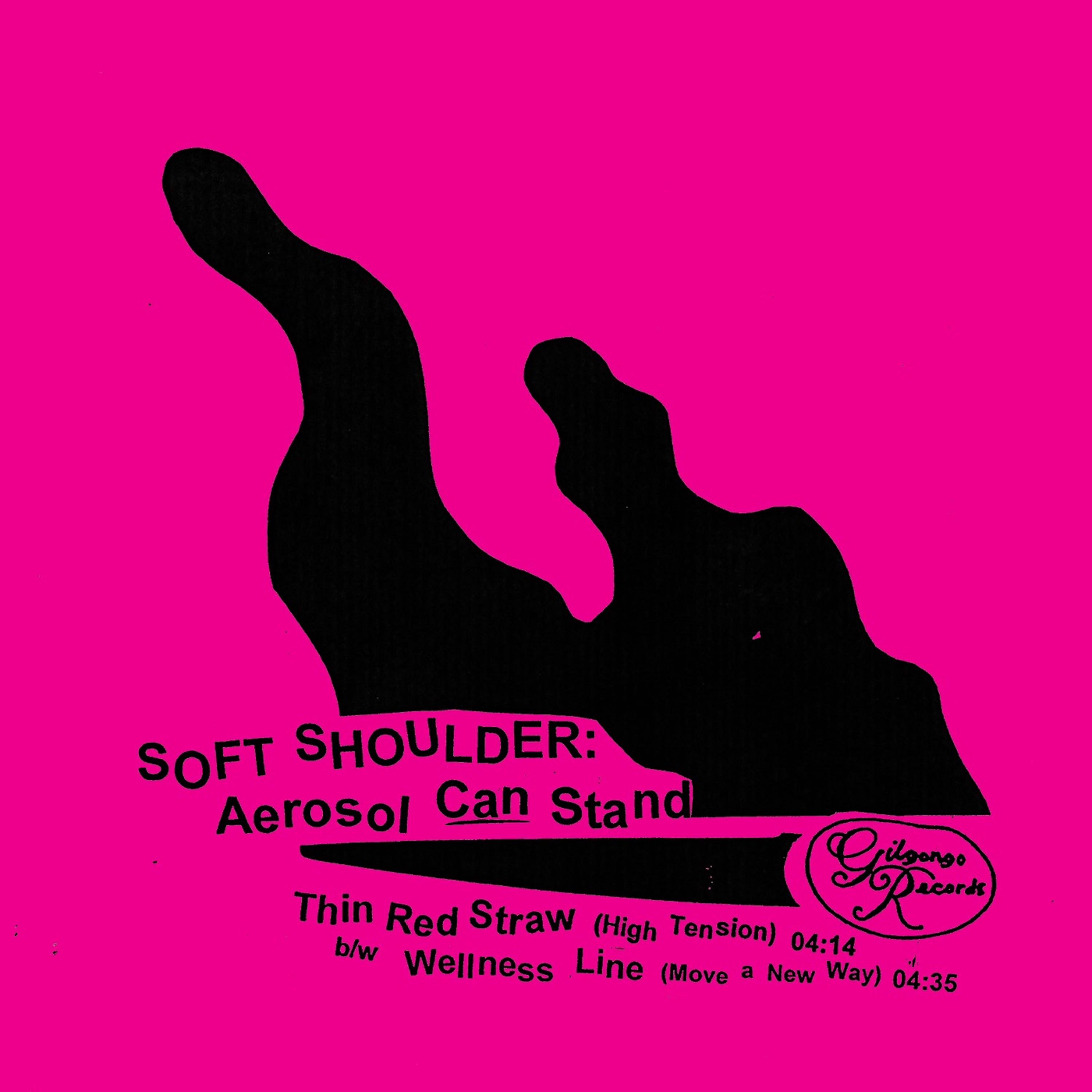 Постер альбома Aerosol Can Stand