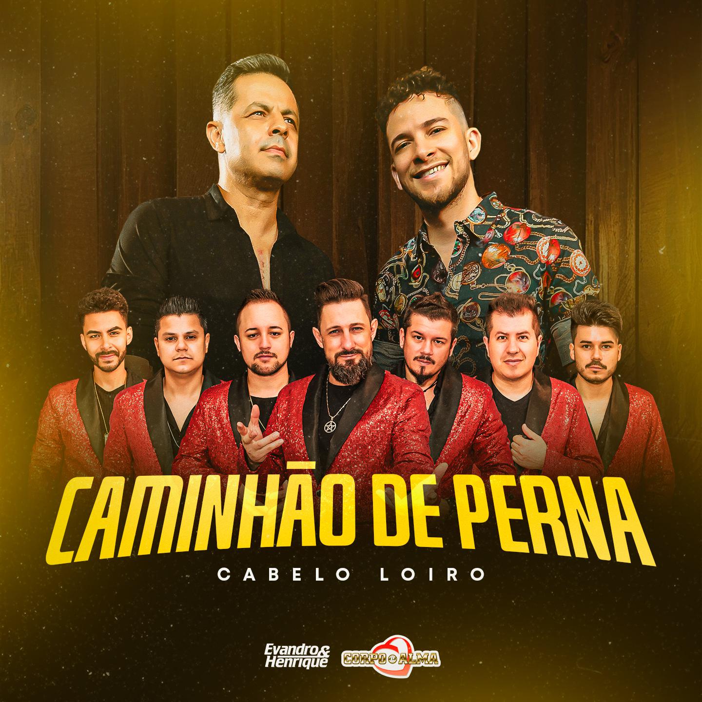 Постер альбома Caminhão de Perna