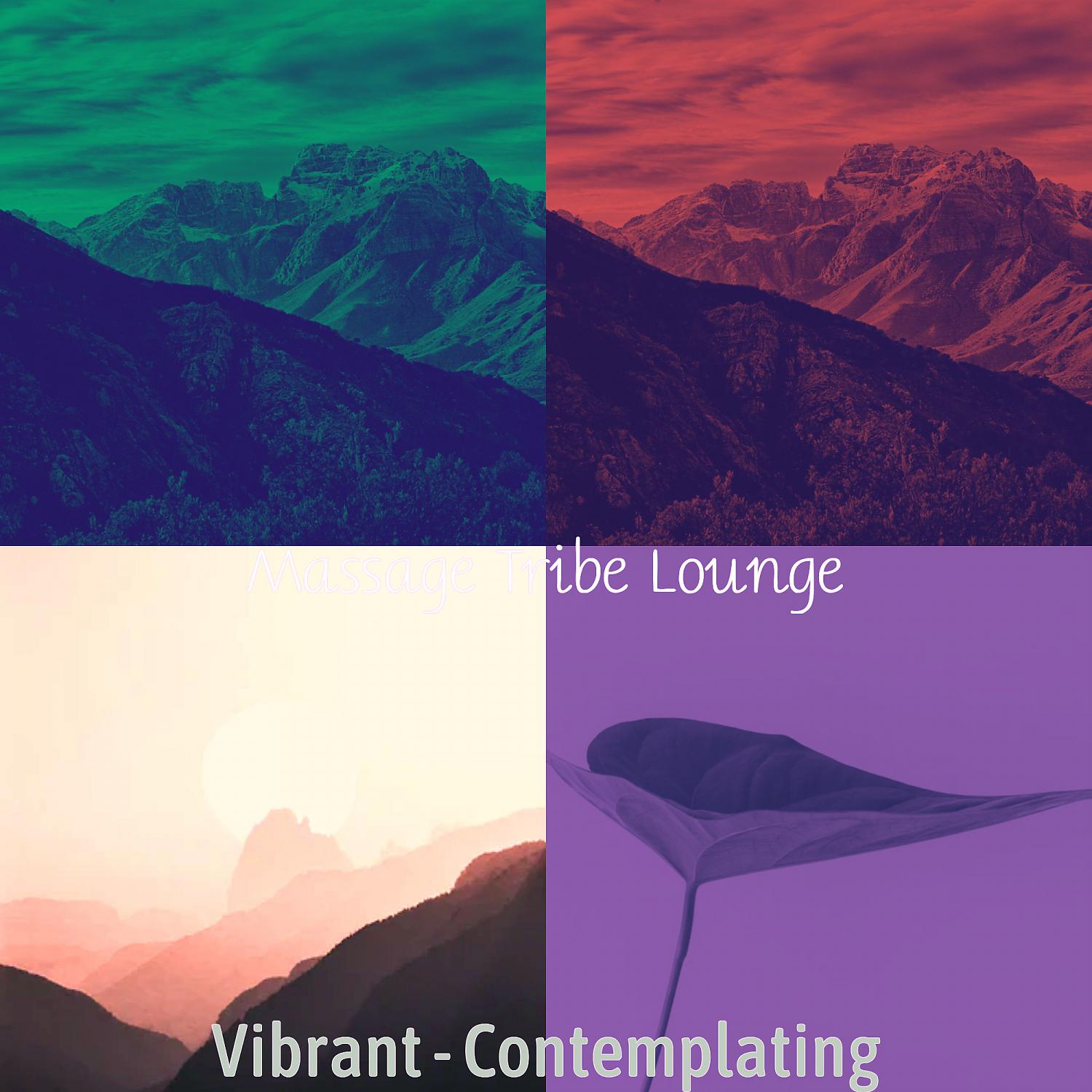 Постер альбома Vibrant - Contemplating