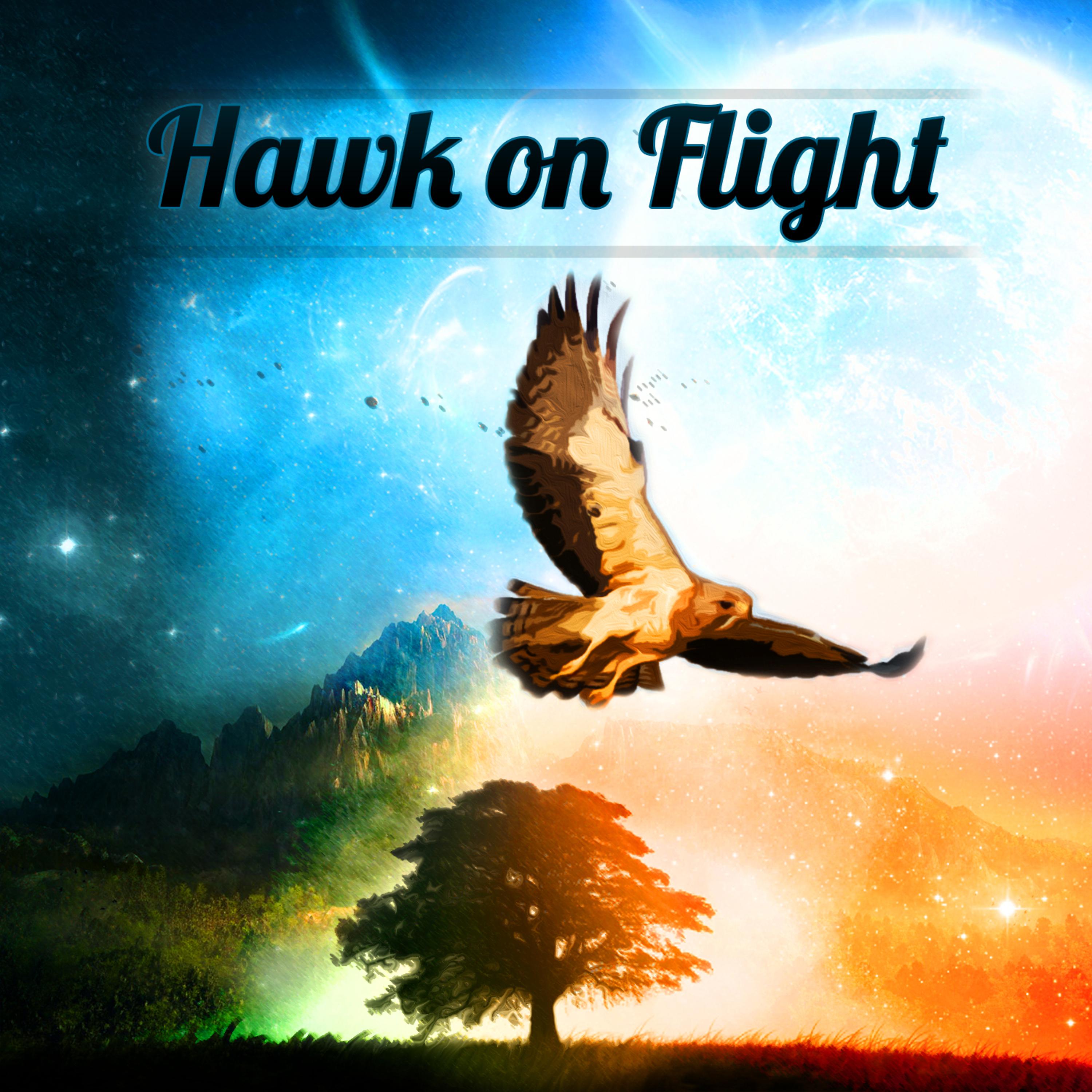 Постер альбома Hawk on Flight