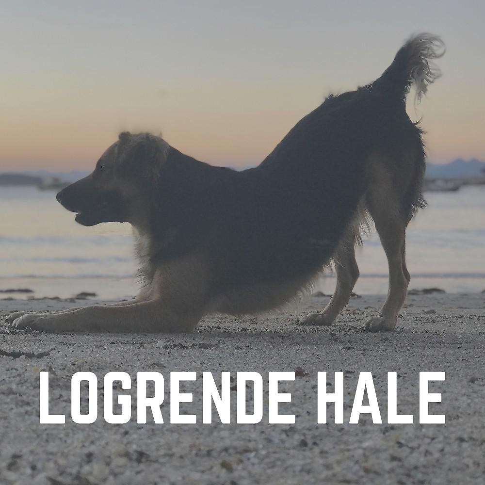 Постер альбома Logrende Hale