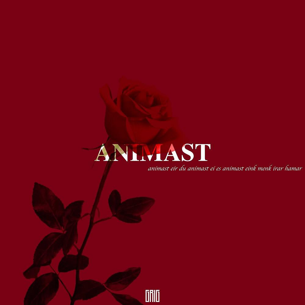 Постер альбома Animast