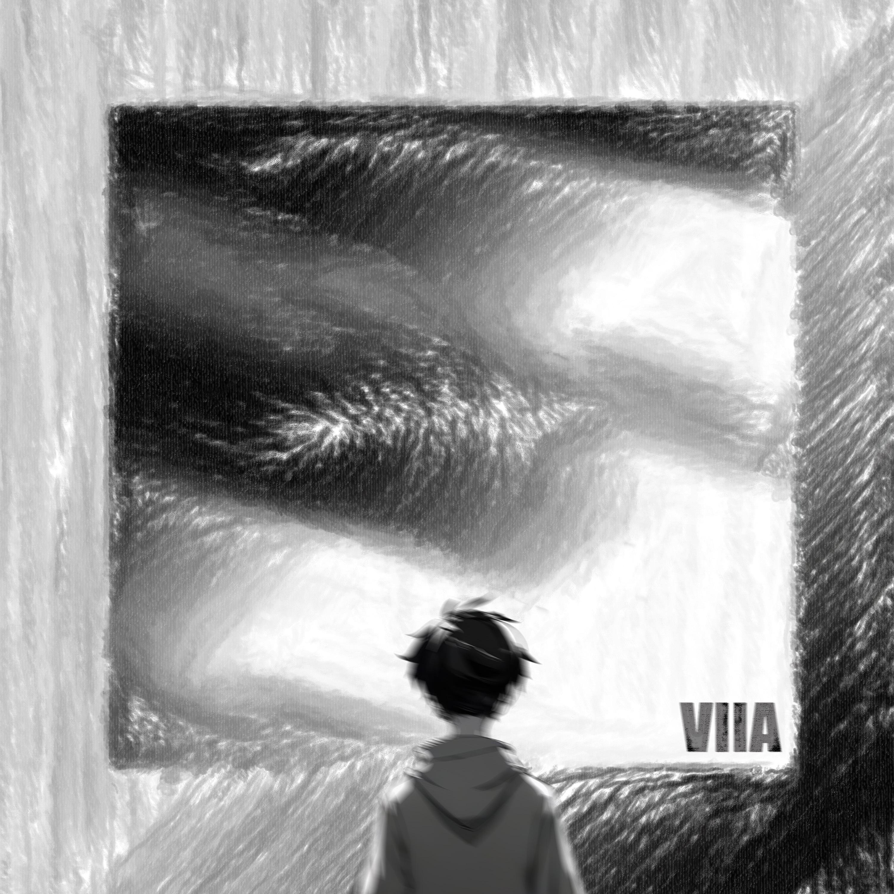 Постер альбома Viia