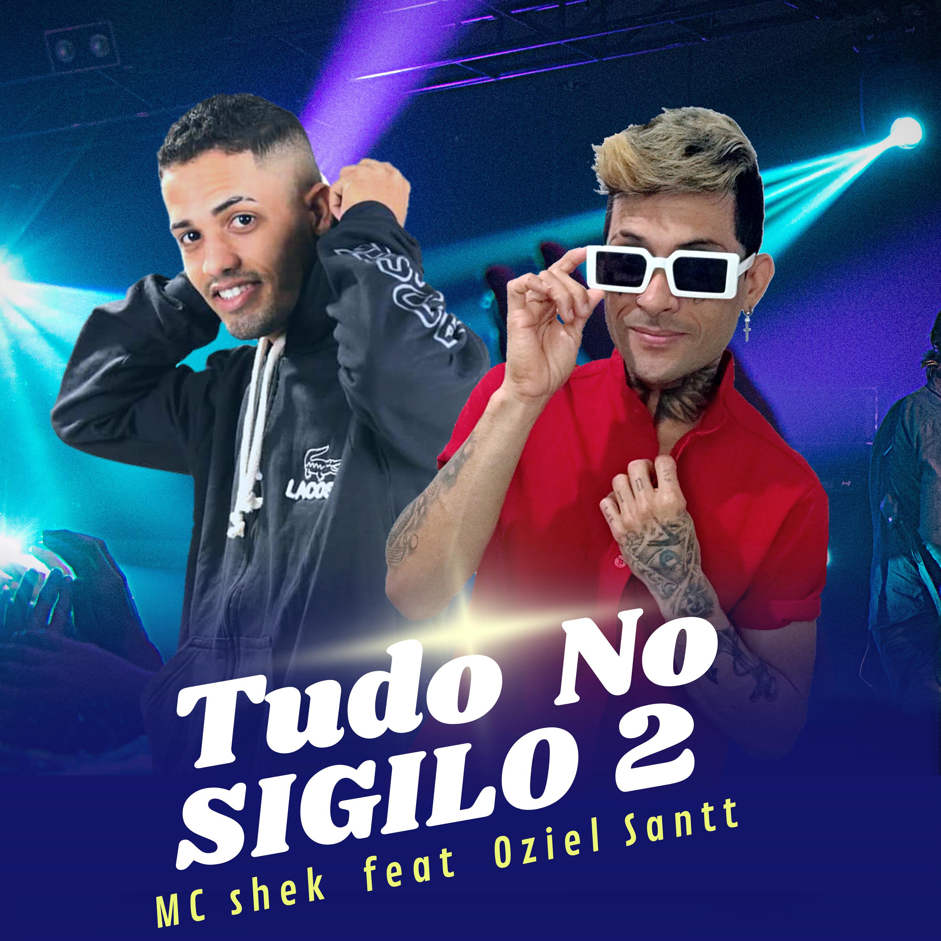 Постер альбома Tudo no Sigilo 2