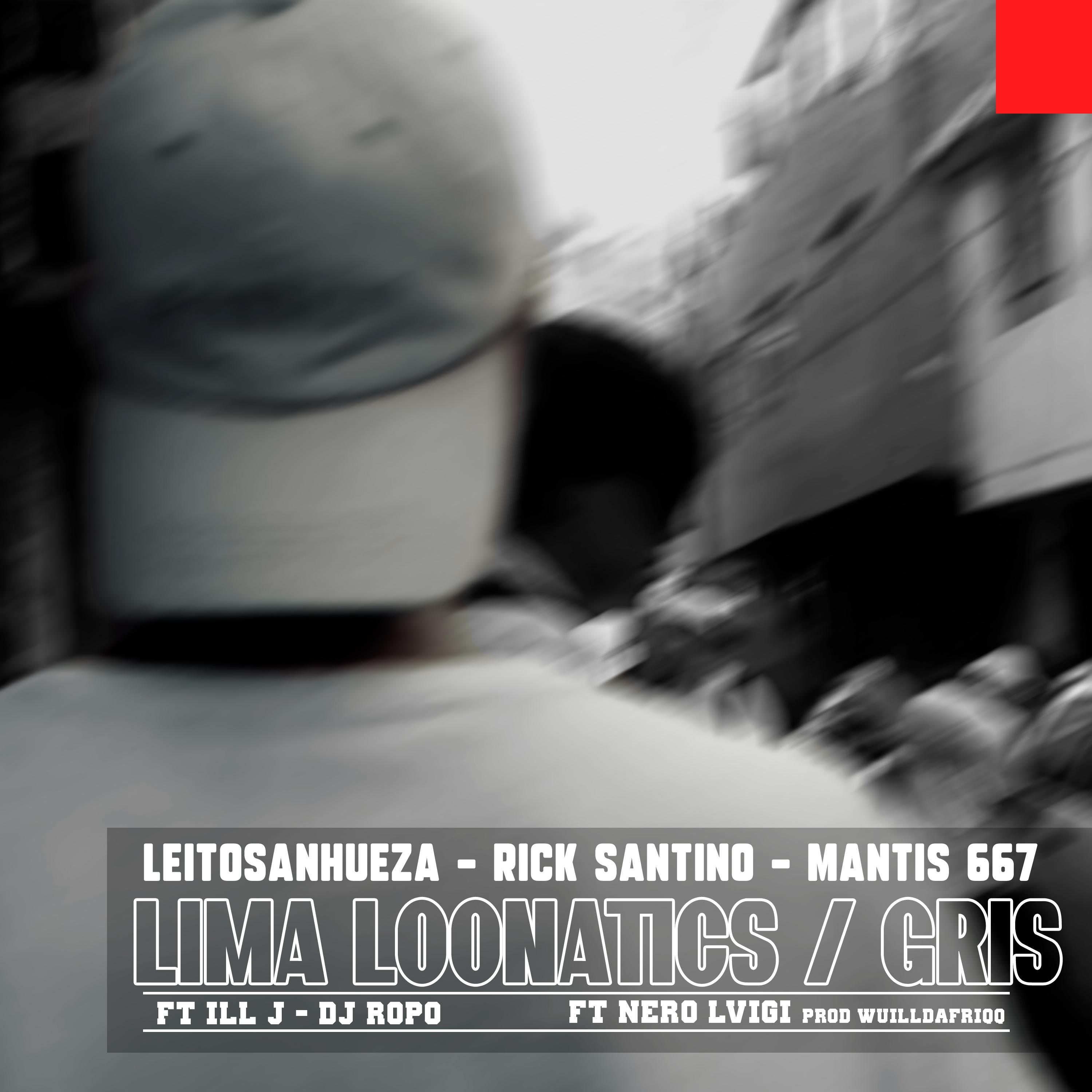 Постер альбома Lima Loonatics - Gris