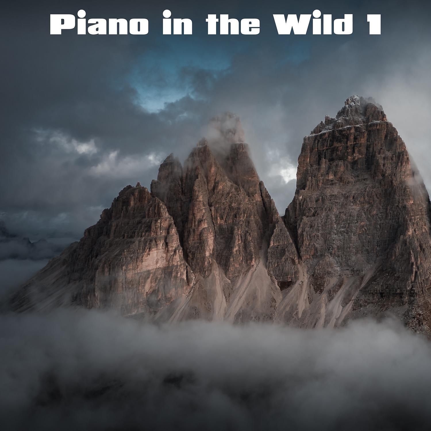 Постер альбома Piano in the Wild, Vol. 1