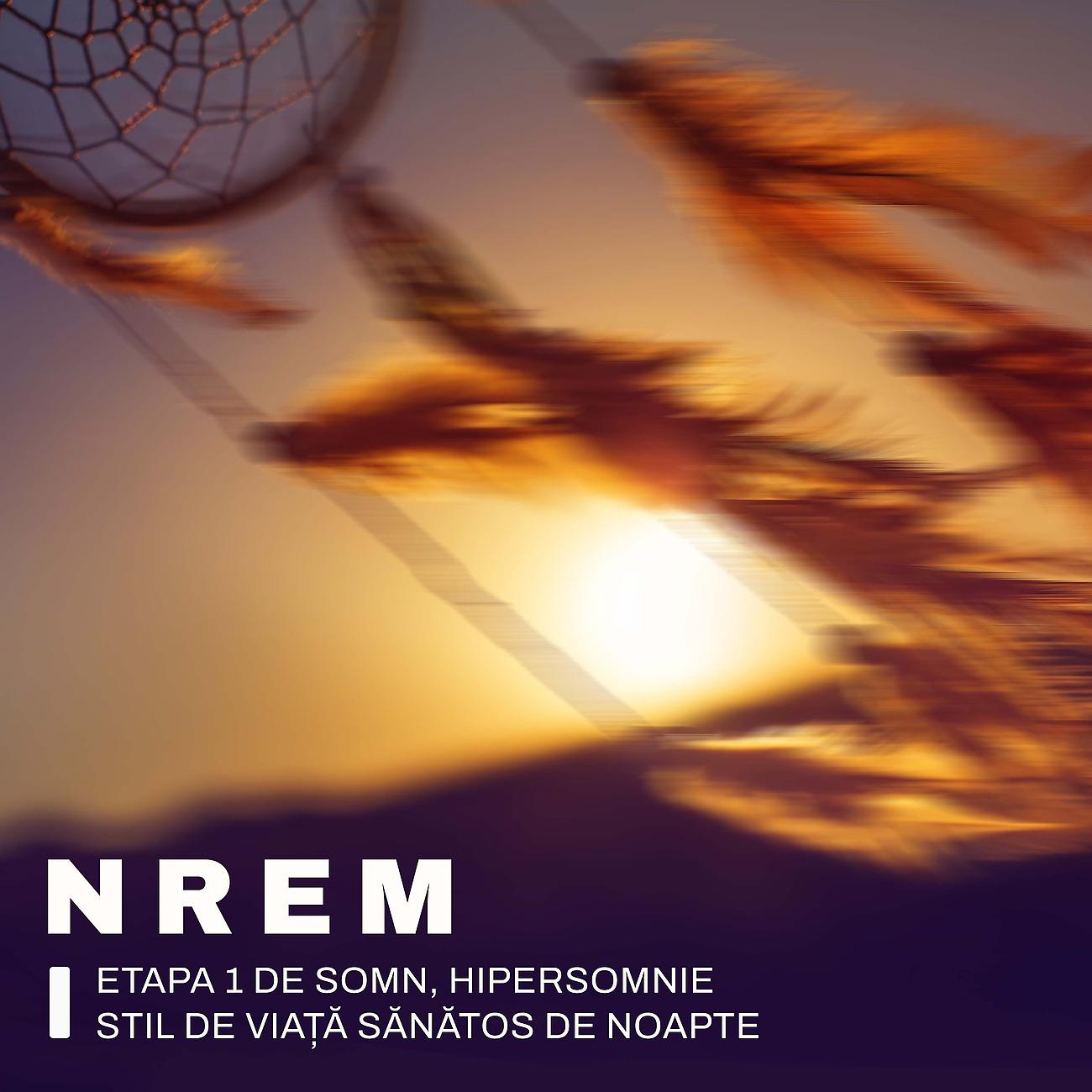Постер альбома NREM Etapa 1 de Somn, Hipersomnie, Stil de Viață Sănătos de Noapte (NREM Sleep Stage 1, Hypersomnia, Healthy Night Lifestyle)