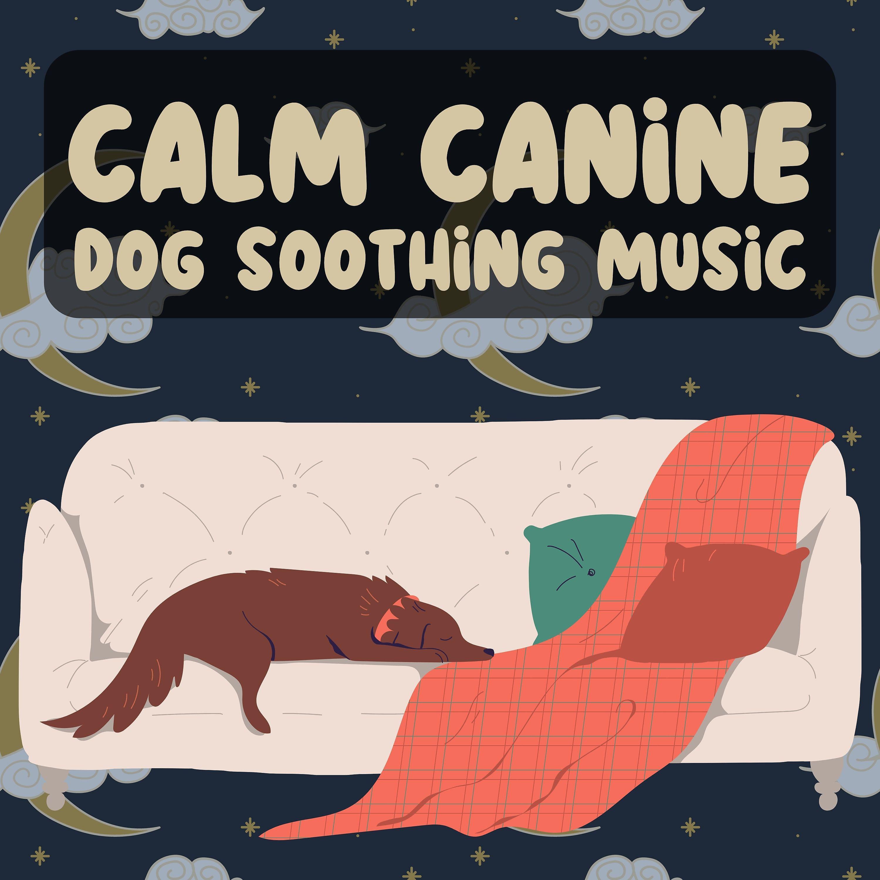 Постер альбома Calm Canine Dog Soothing Music