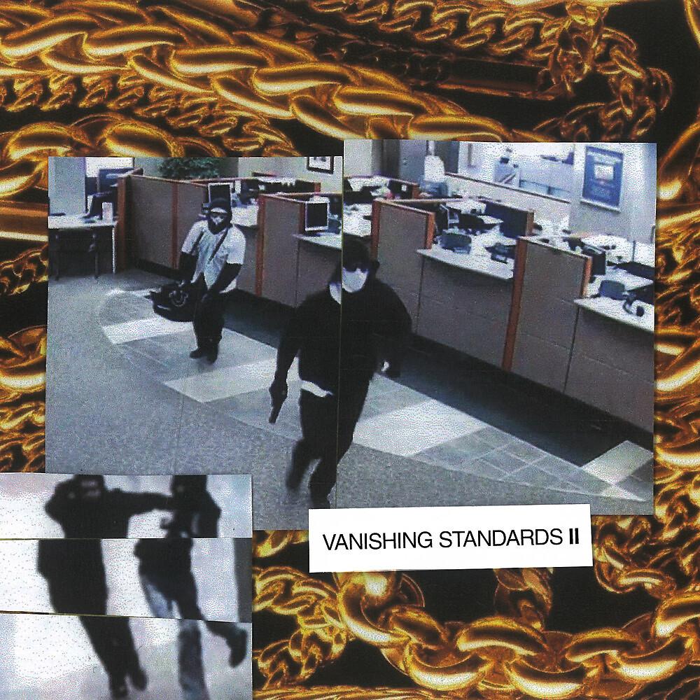 Постер альбома Vanishing Standards II