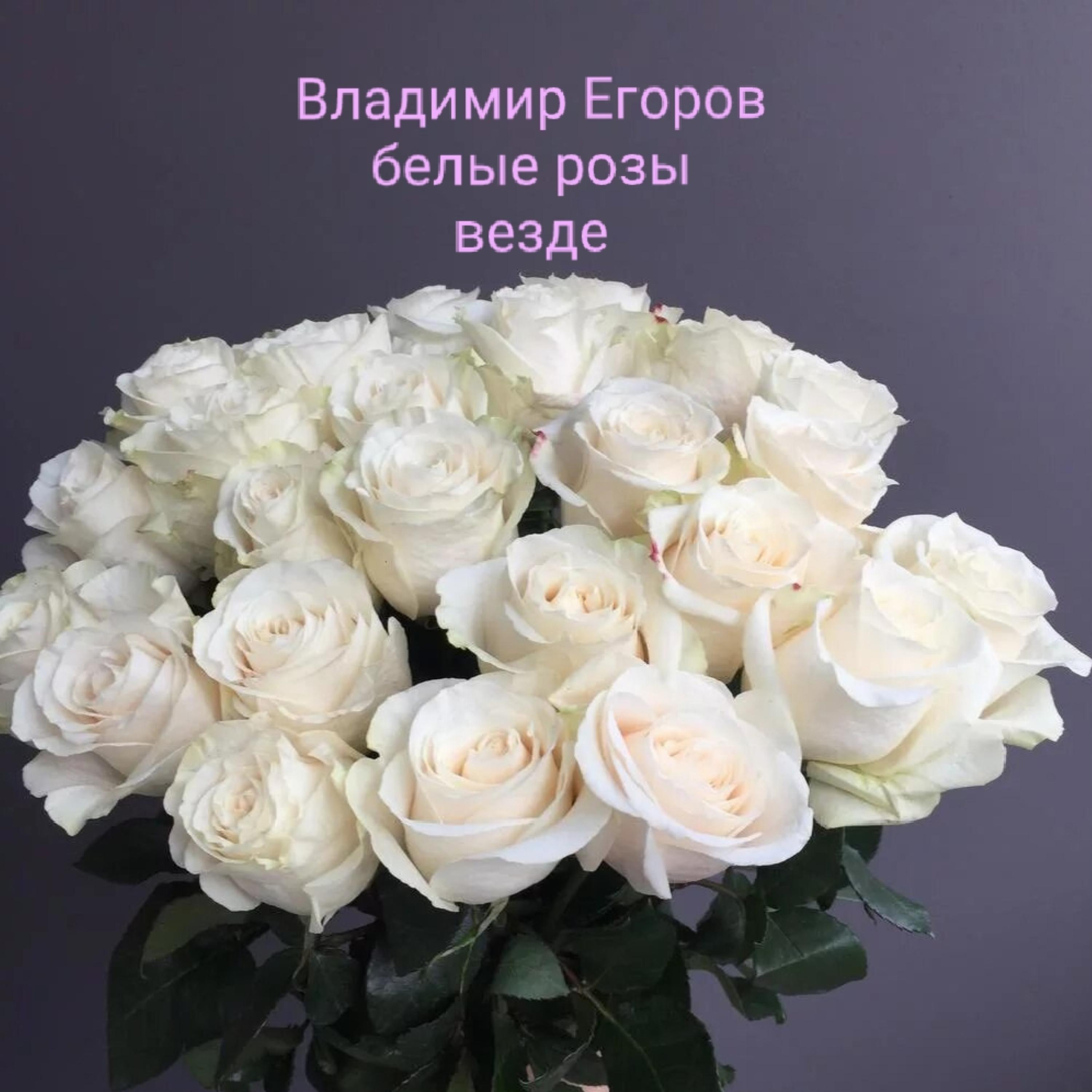Постер альбома белые розы везде