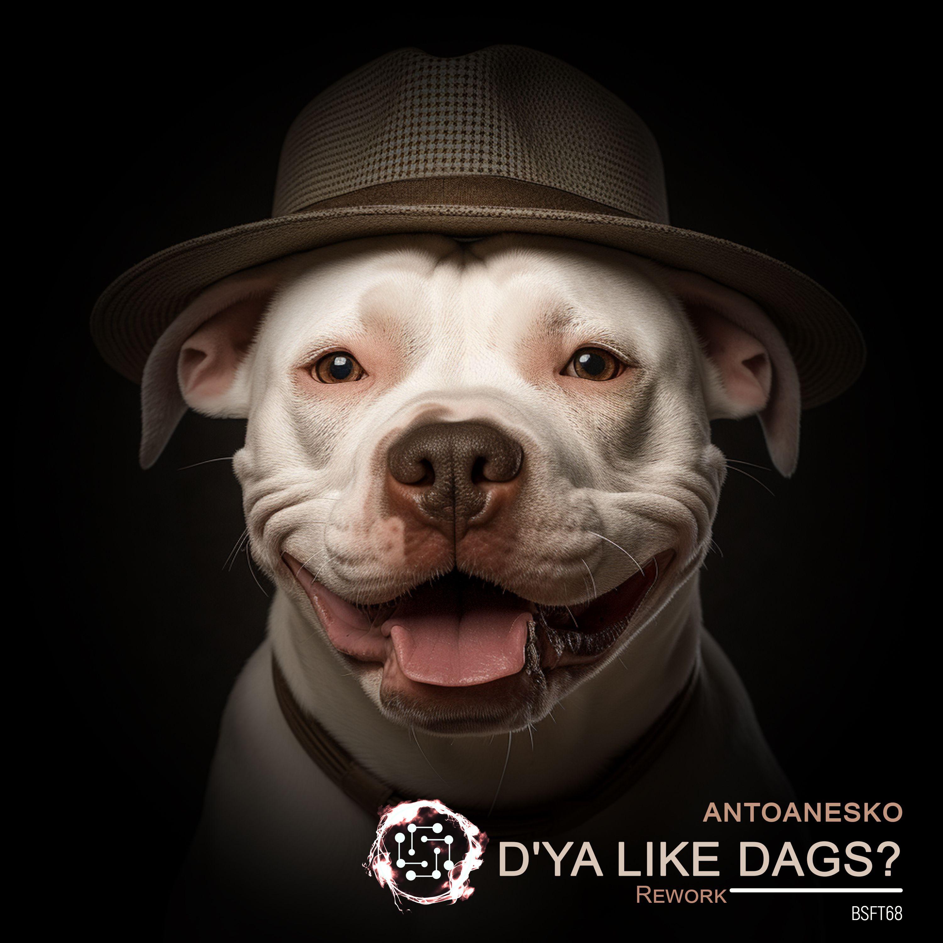 Постер альбома D'Ya Like Dags