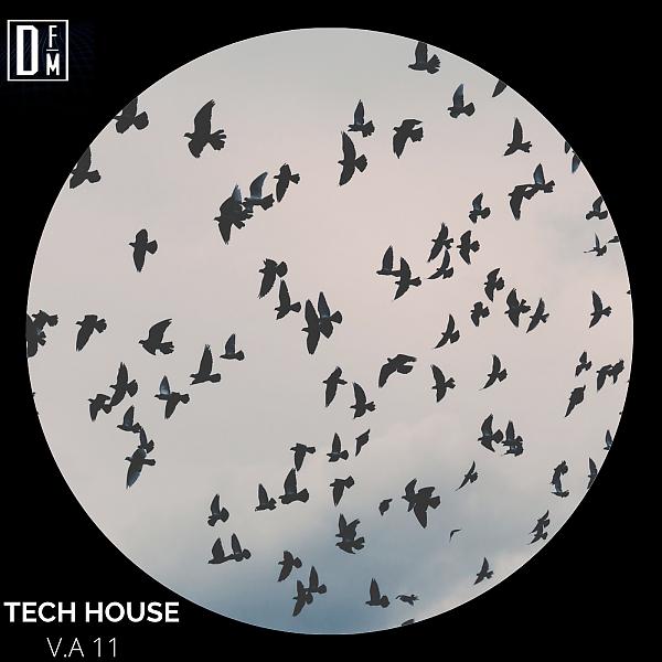 Постер альбома Tech House v.a 11