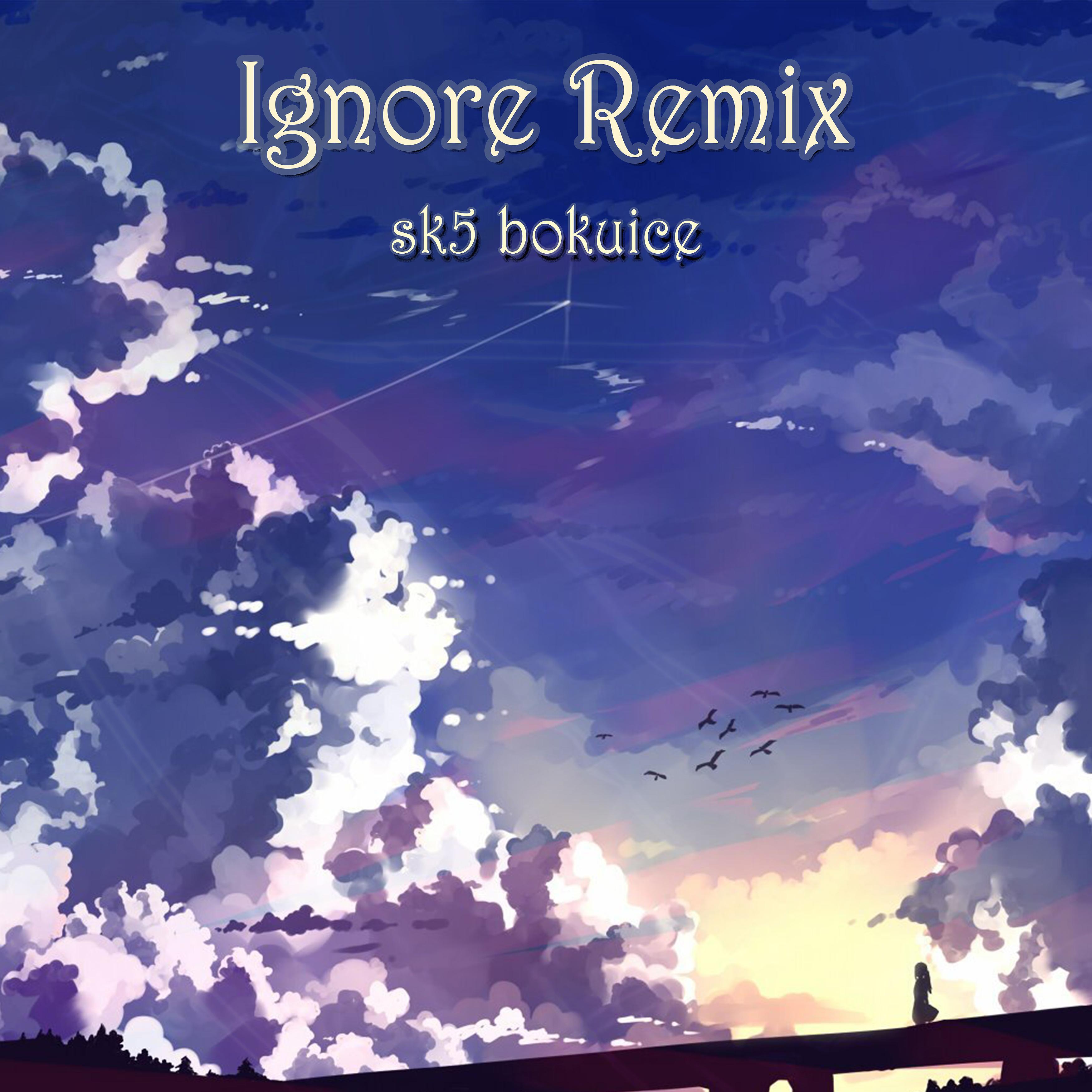 Постер альбома Ignore (Remix)