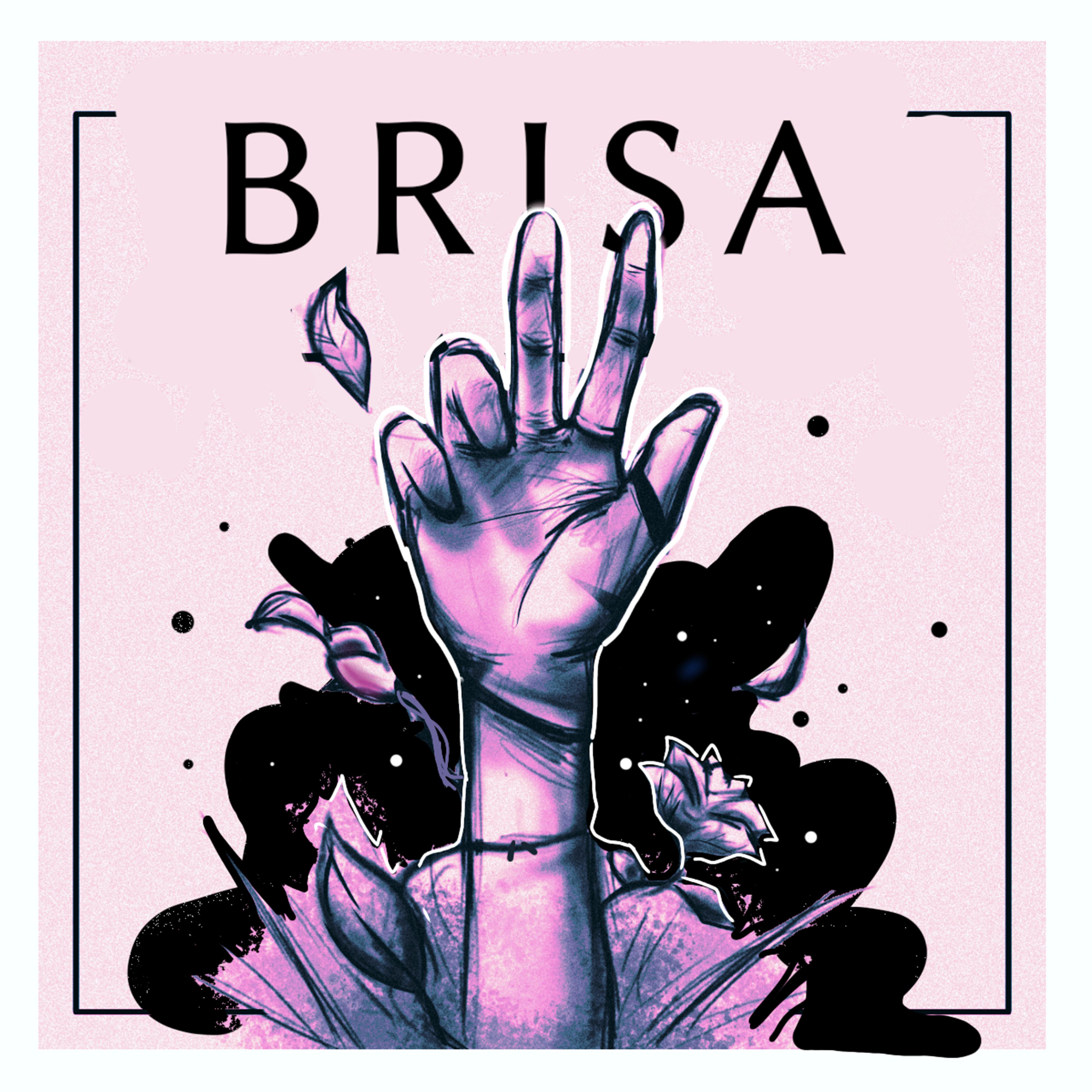Постер альбома Brisa