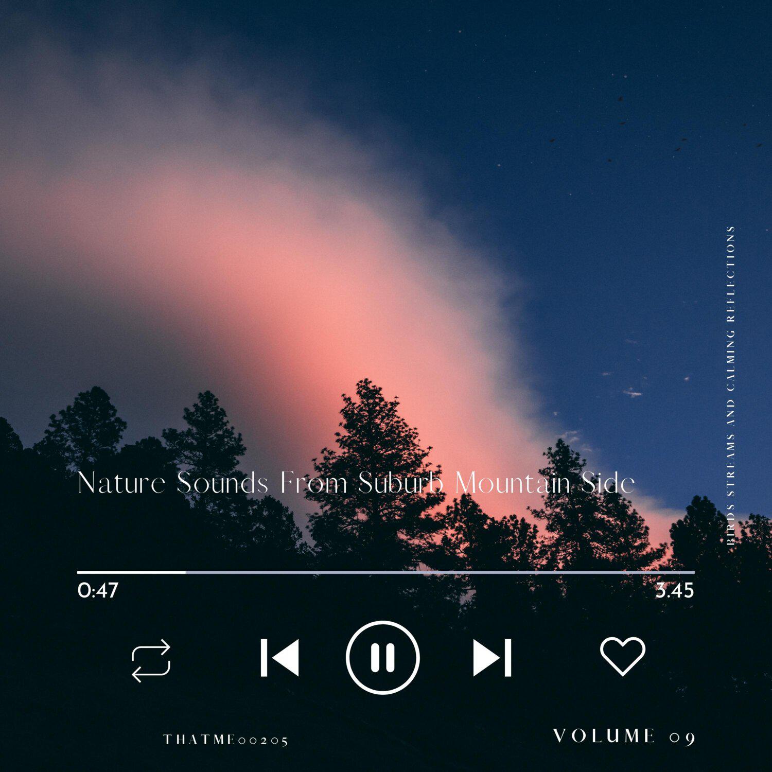 Постер альбома Nature Sounds From Suburb Mountain Side - Birds Streams and Calming Reflections, Vol. 09