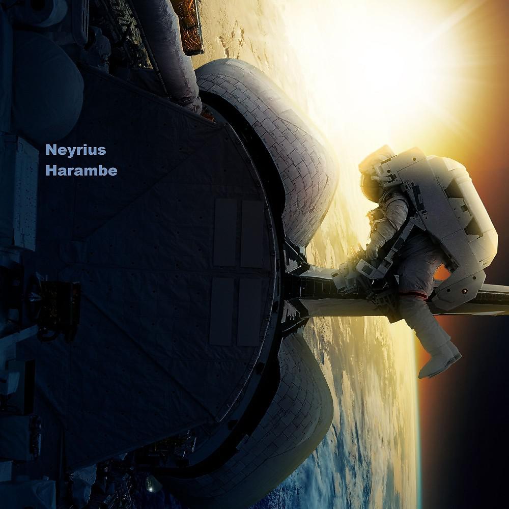 Постер альбома Harambe