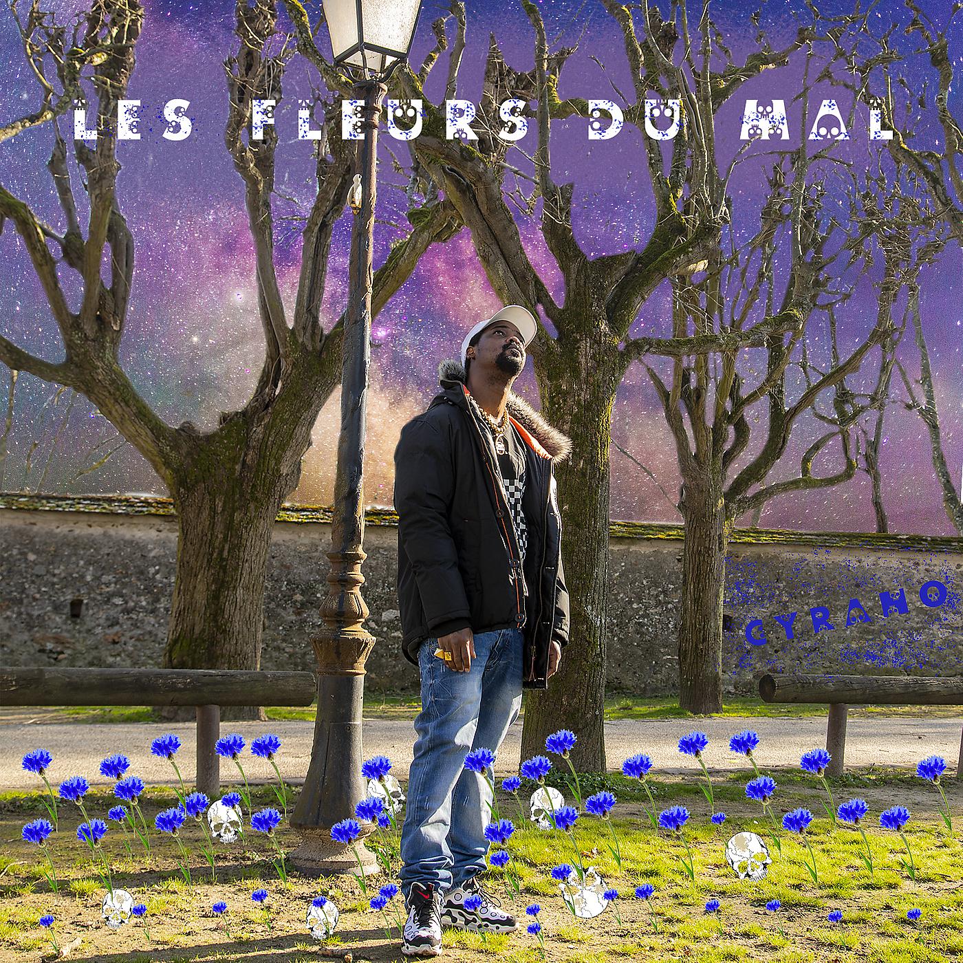 Постер альбома Les fleurs du mal