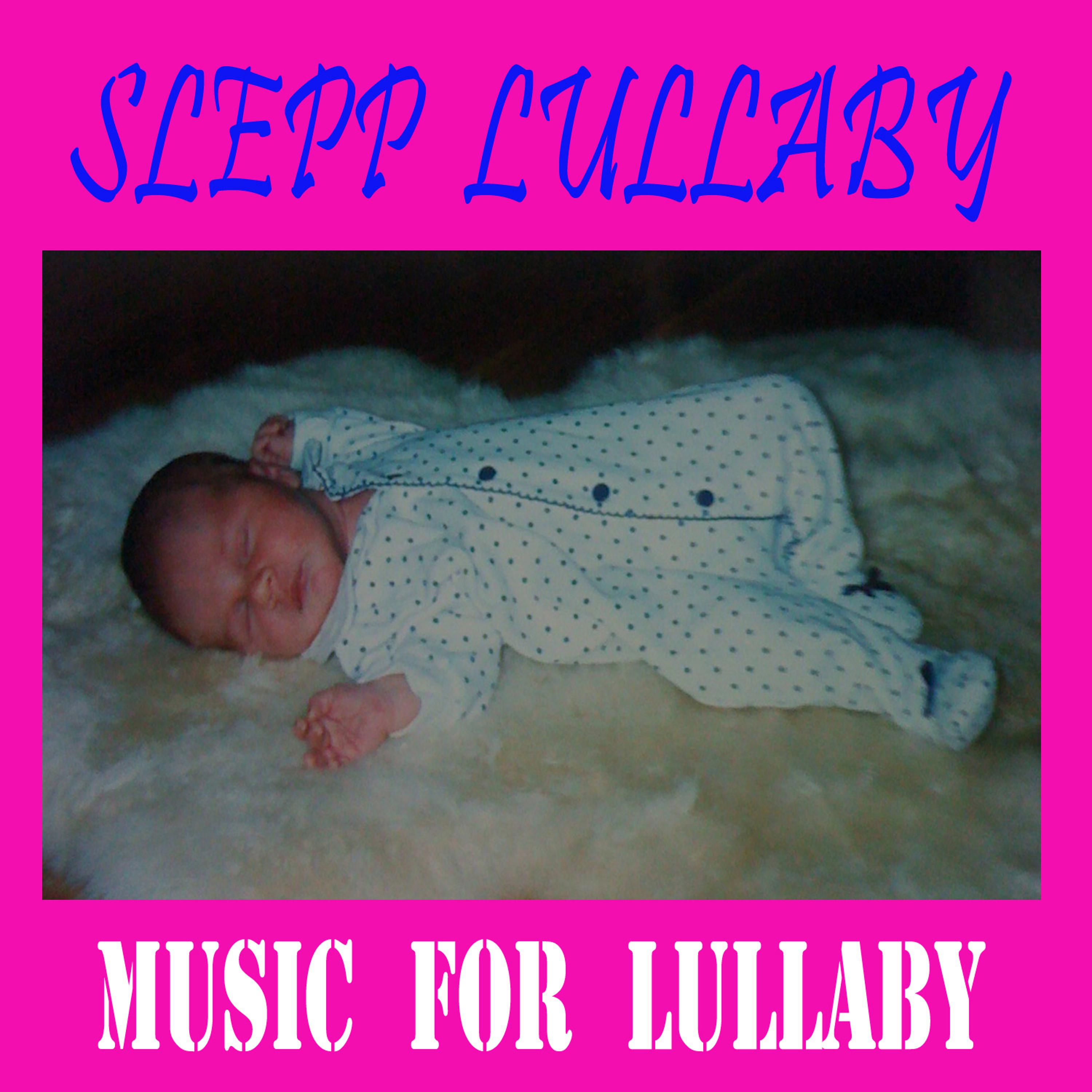 Постер альбома Sleep Lullaby Music