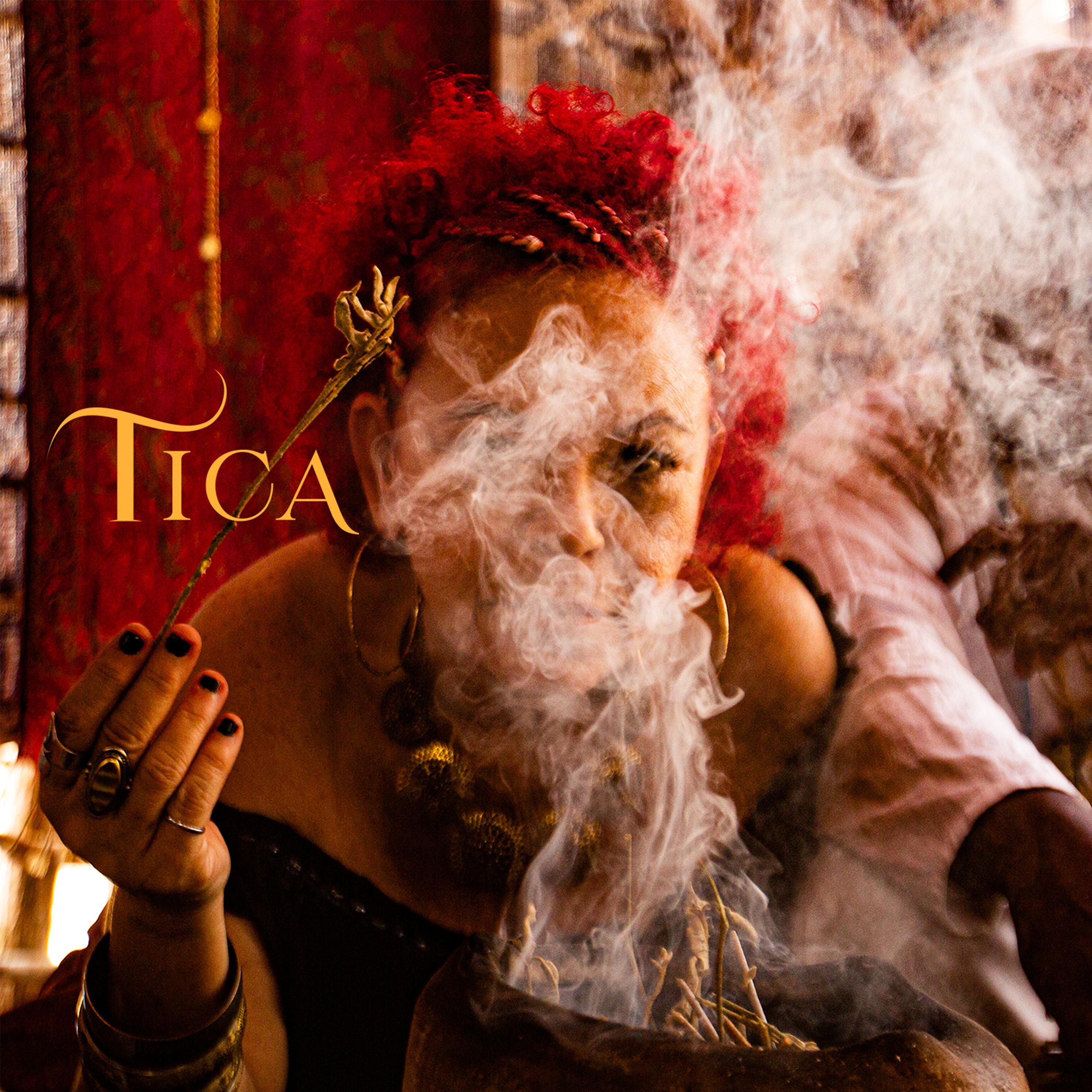Постер альбома Tica