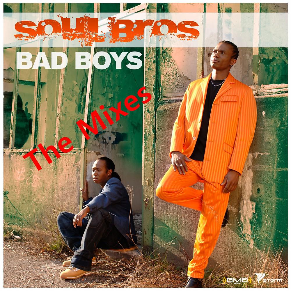 Постер альбома Bad Boys (The Mixes)