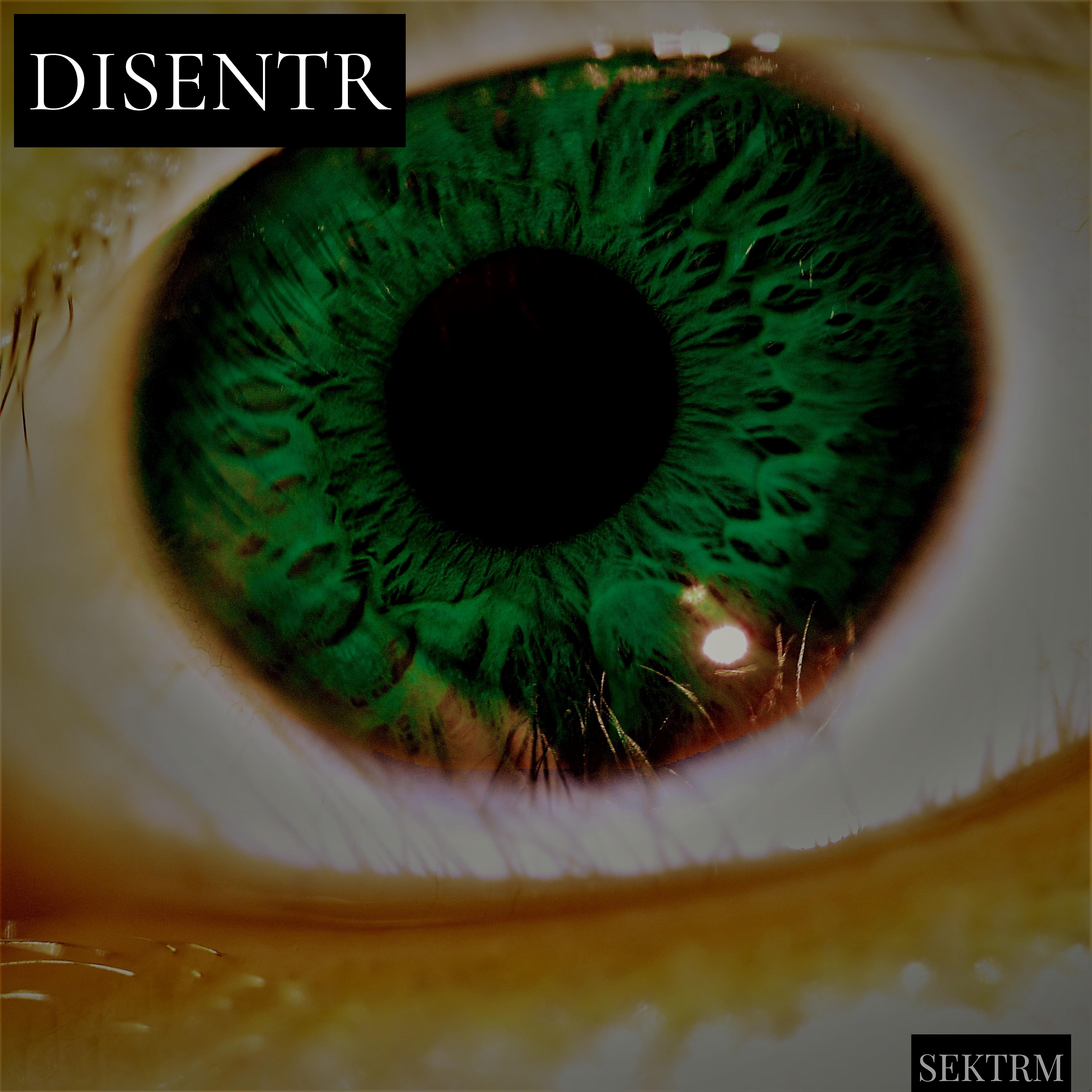 Постер альбома Disentr