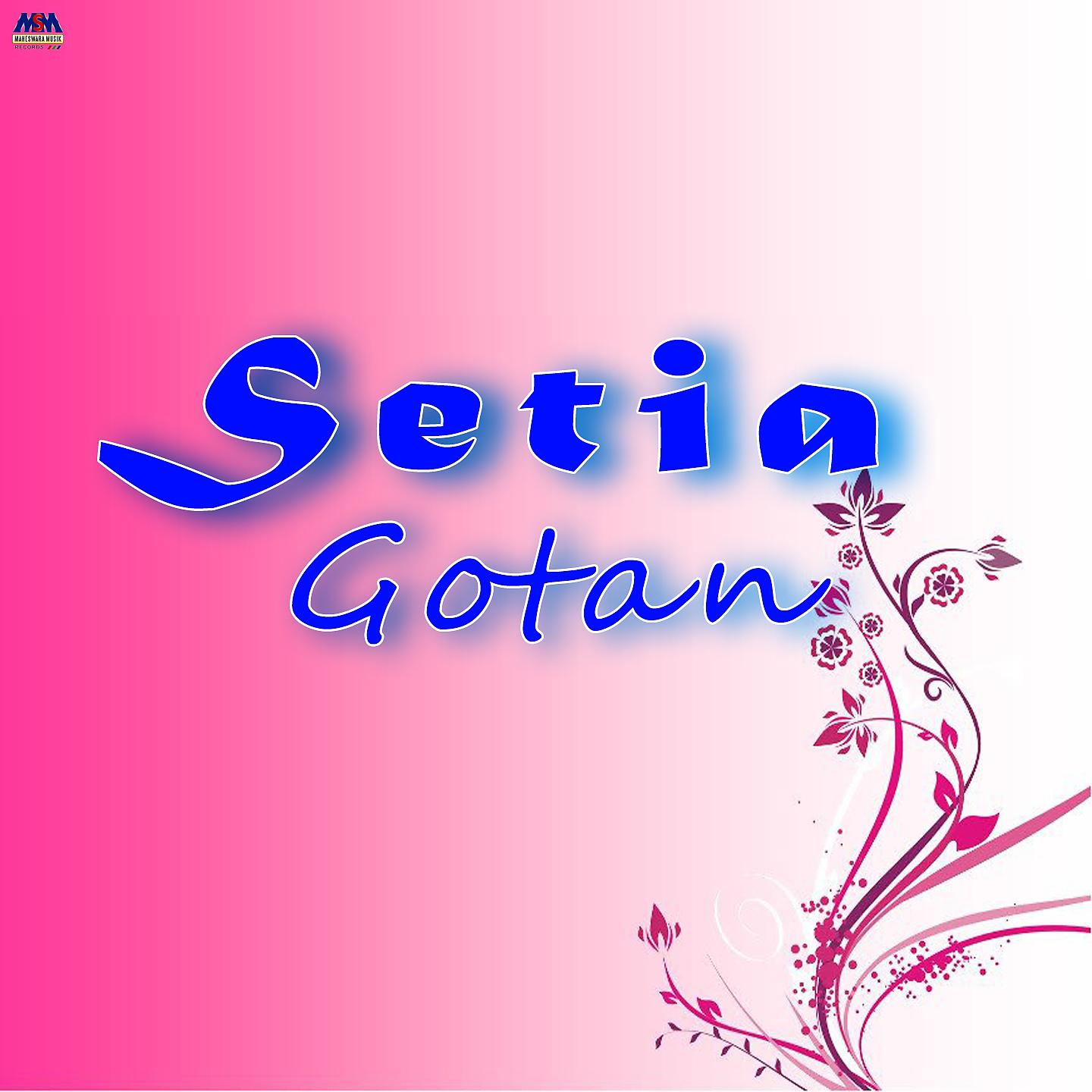Постер альбома Setia