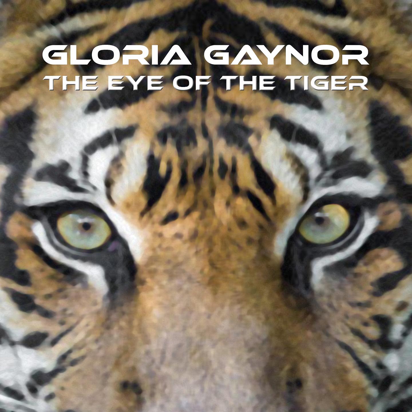Постер альбома The Eye of the Tiger
