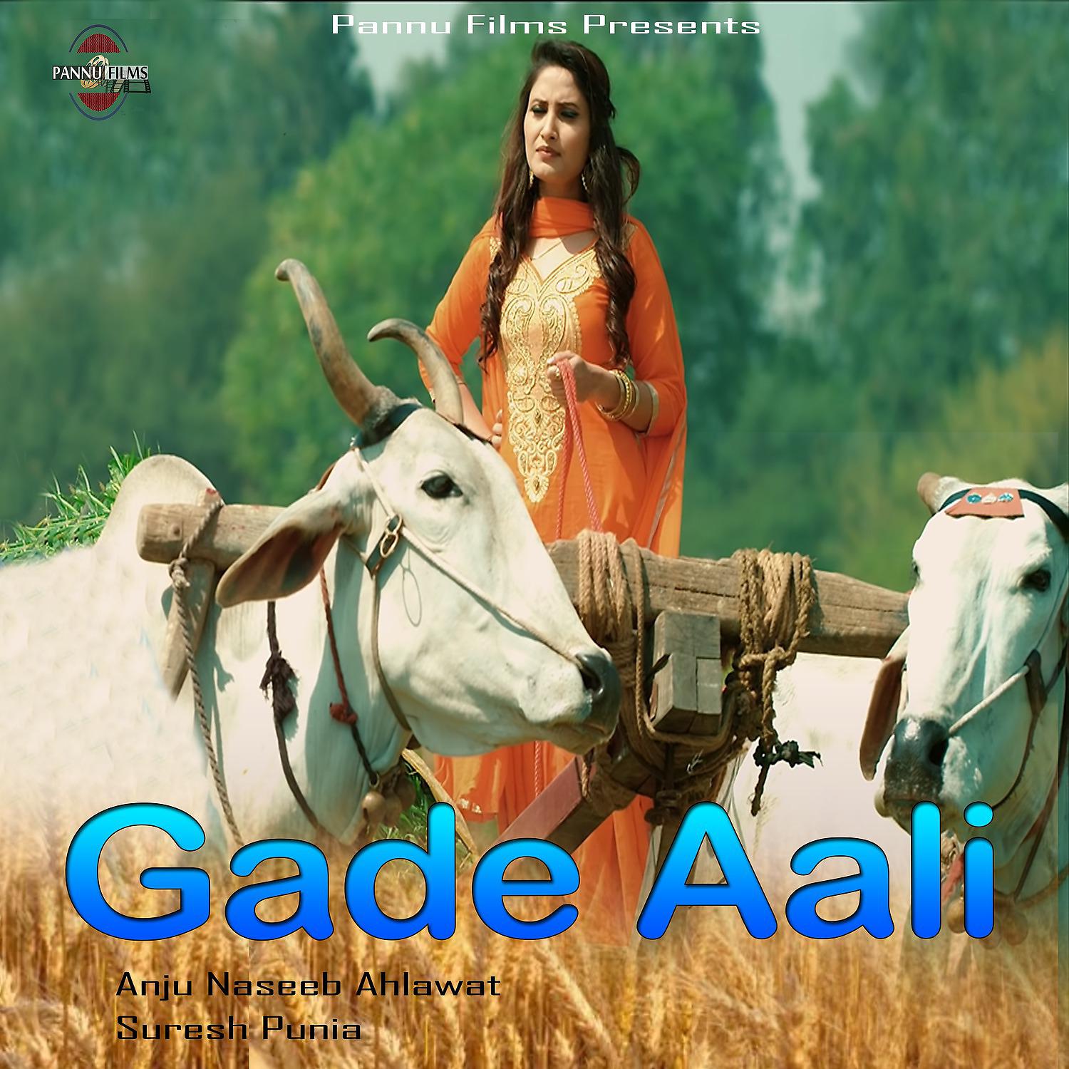 Постер альбома Gade Aali