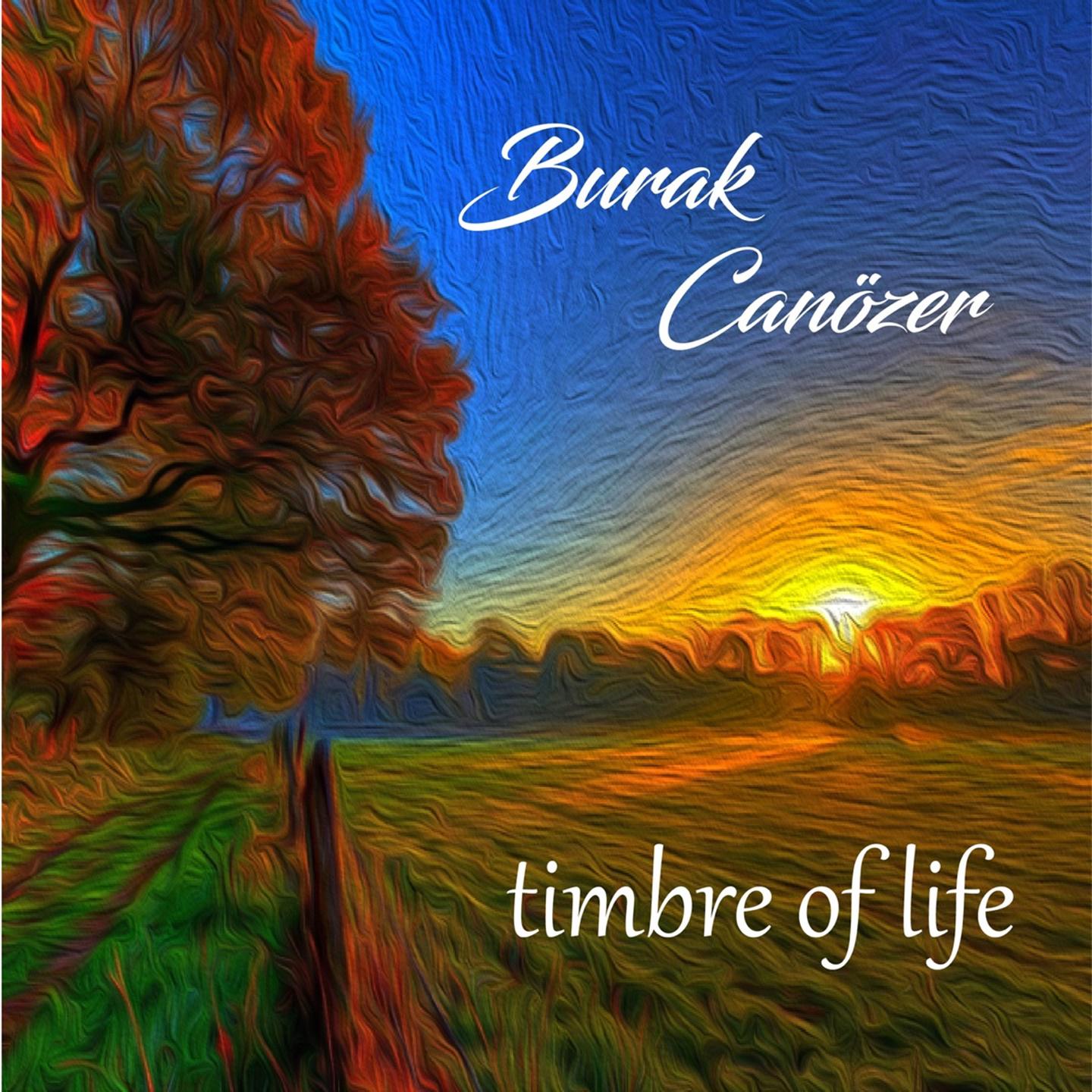 Постер альбома Timbre Of Life