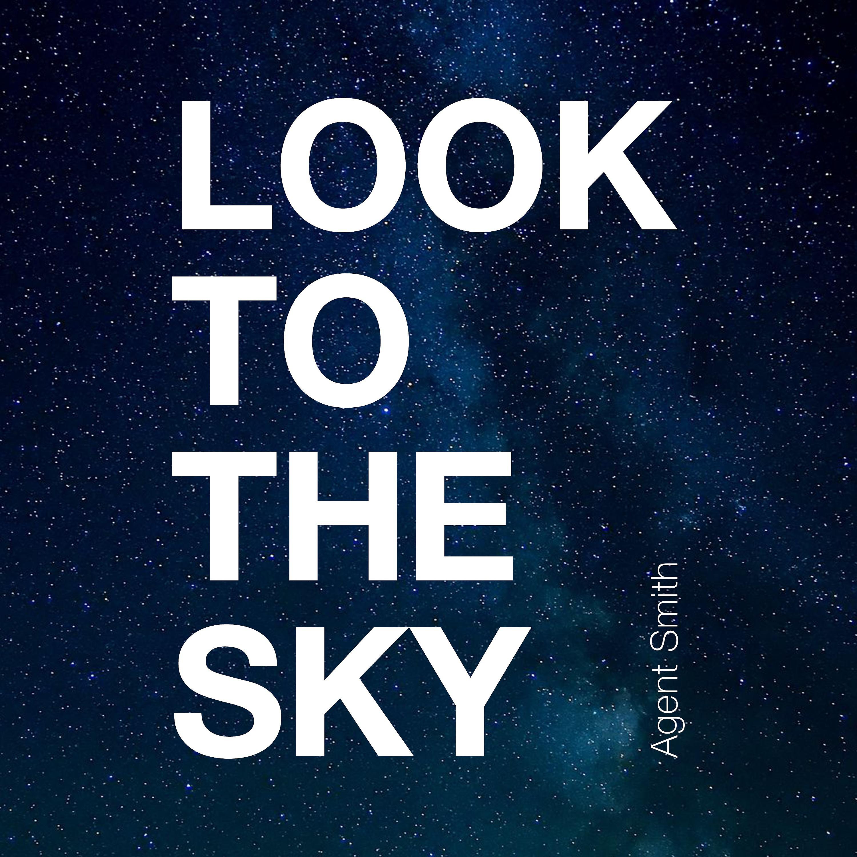 Постер альбома Look to the Sky