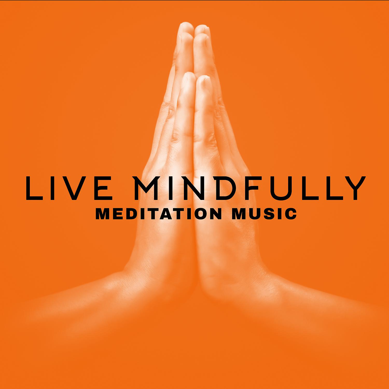 Постер альбома Live Mindfully: Meditation Music to Awaken Full Awareness and Inner Resources