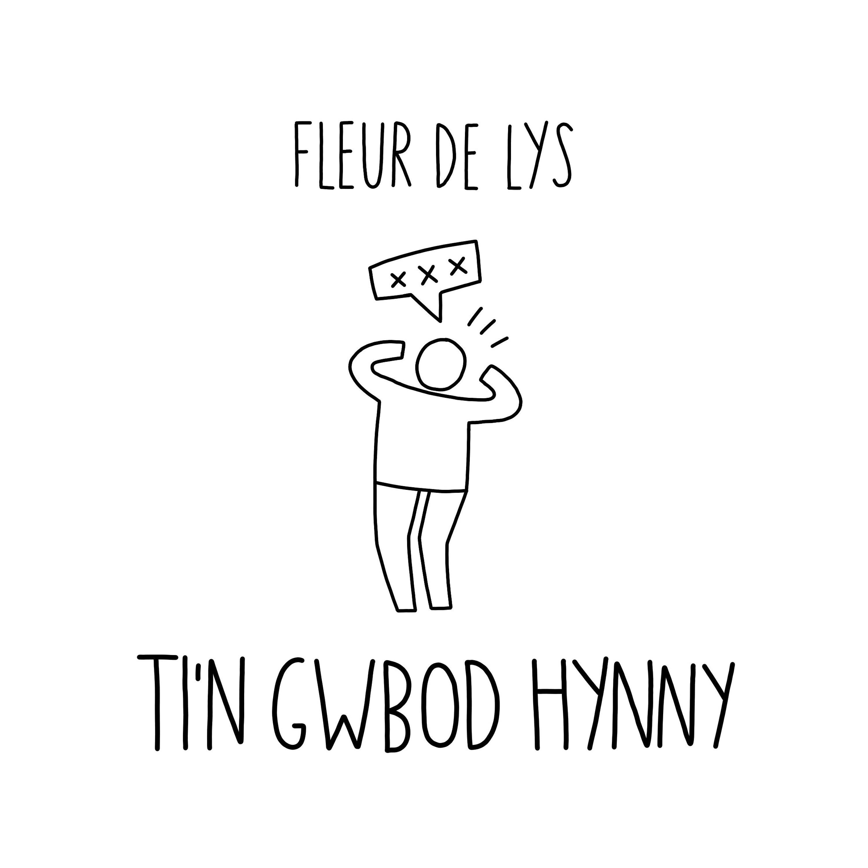 Постер альбома Ti'n Gwbod Hynny