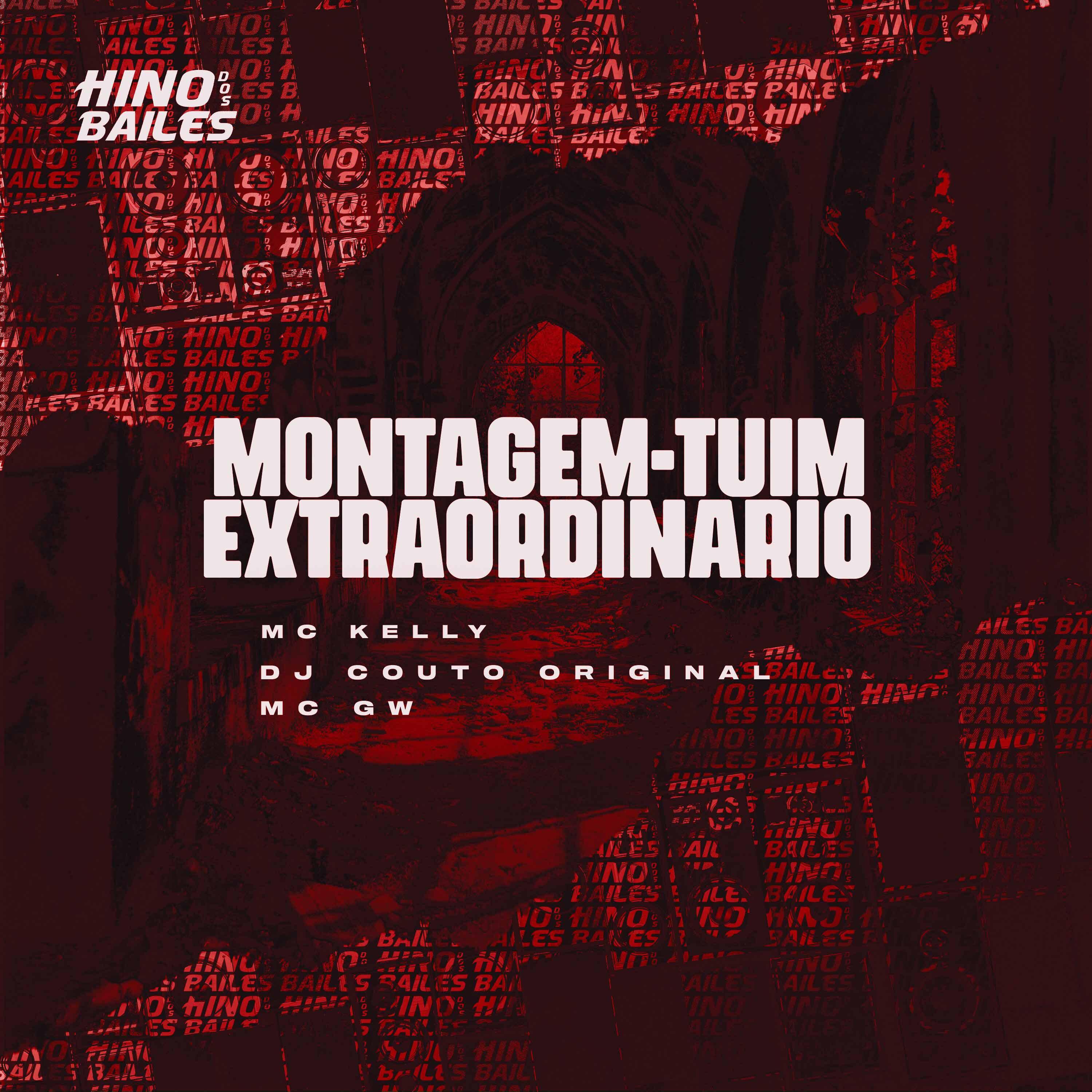 Постер альбома Montagem-Túim Extraordinário