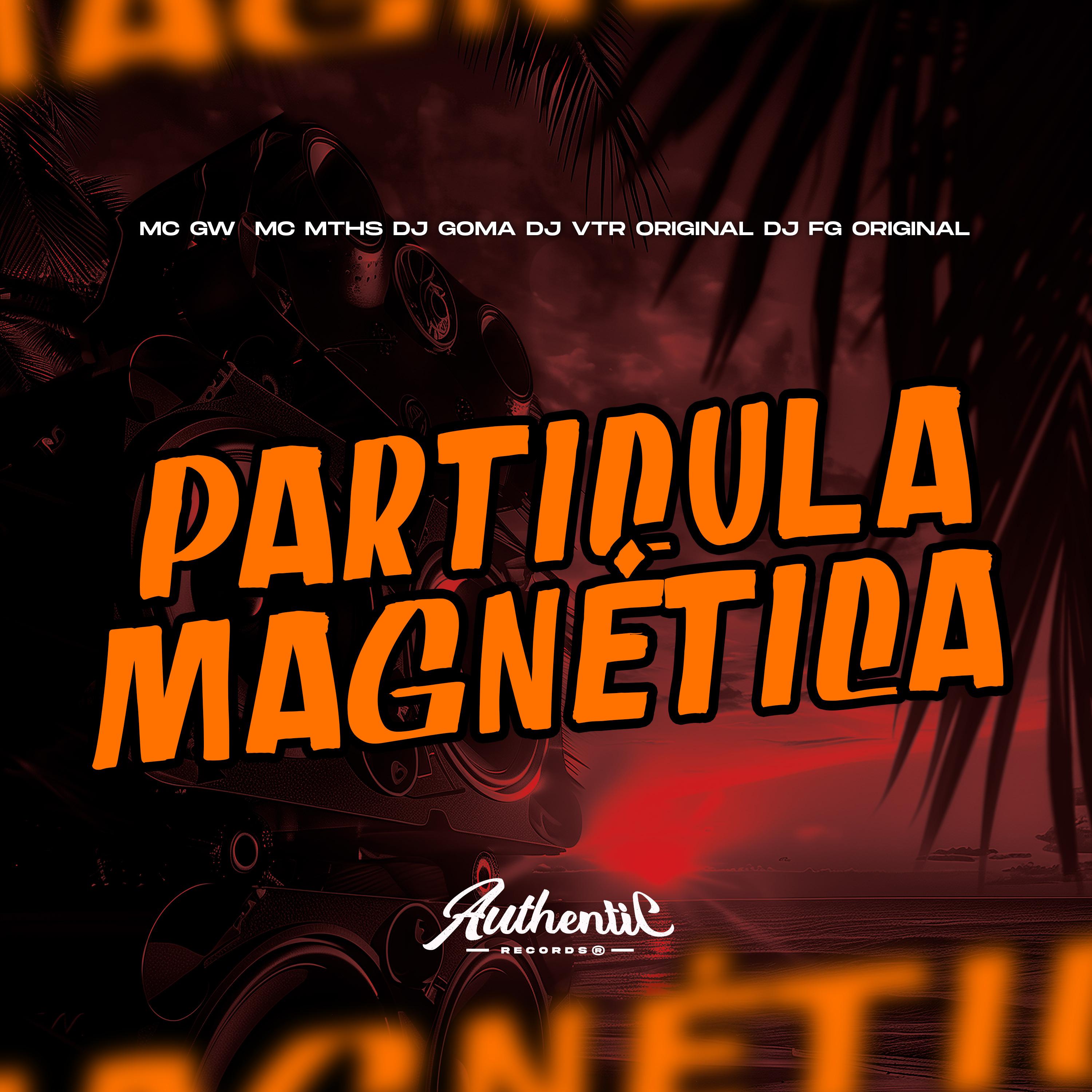 Постер альбома Particula Magnética