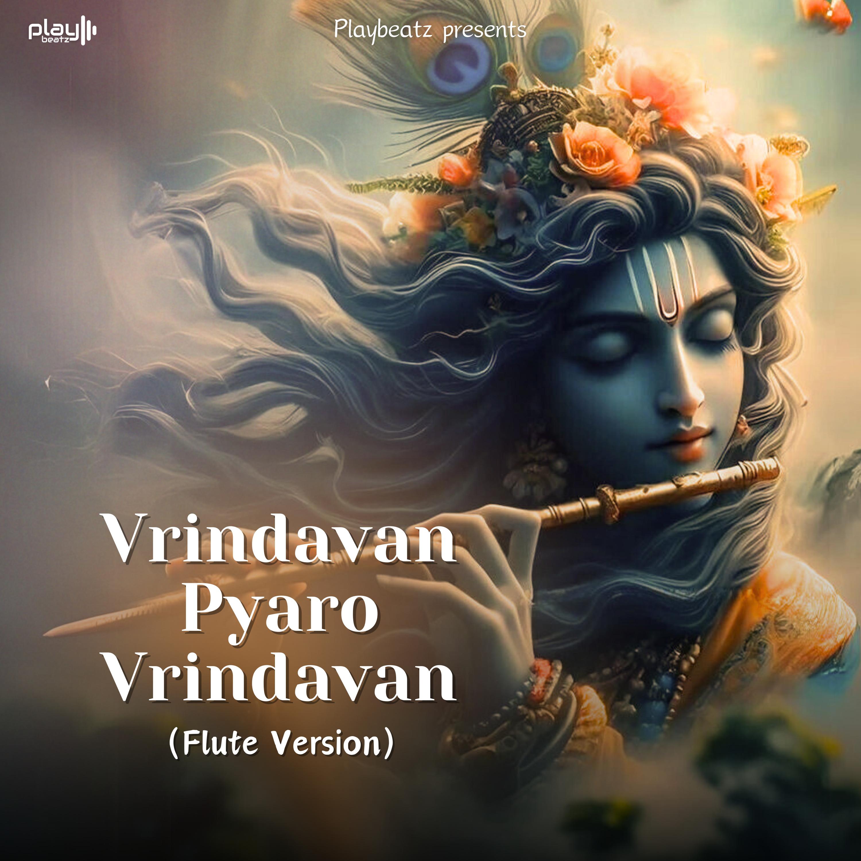 Постер альбома Vrindavan Pyaro Vrindavan