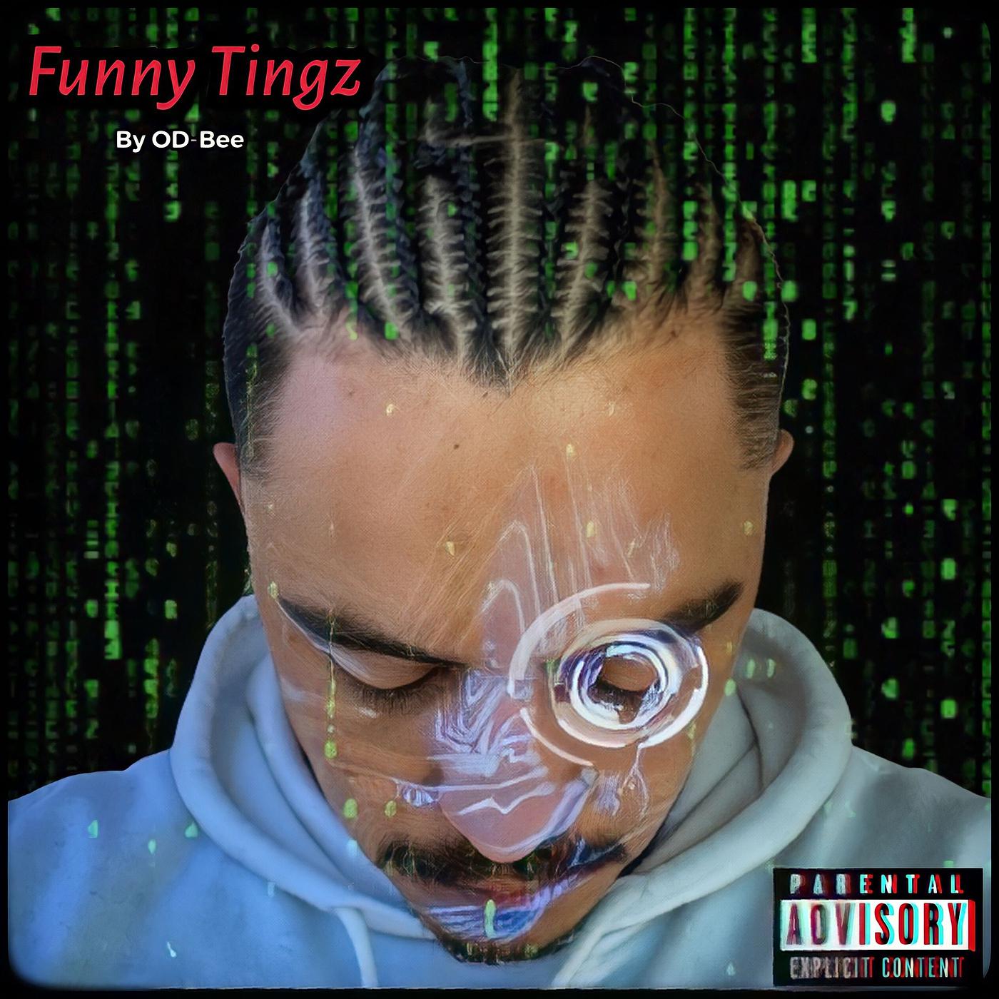 Постер альбома Funny Tingz