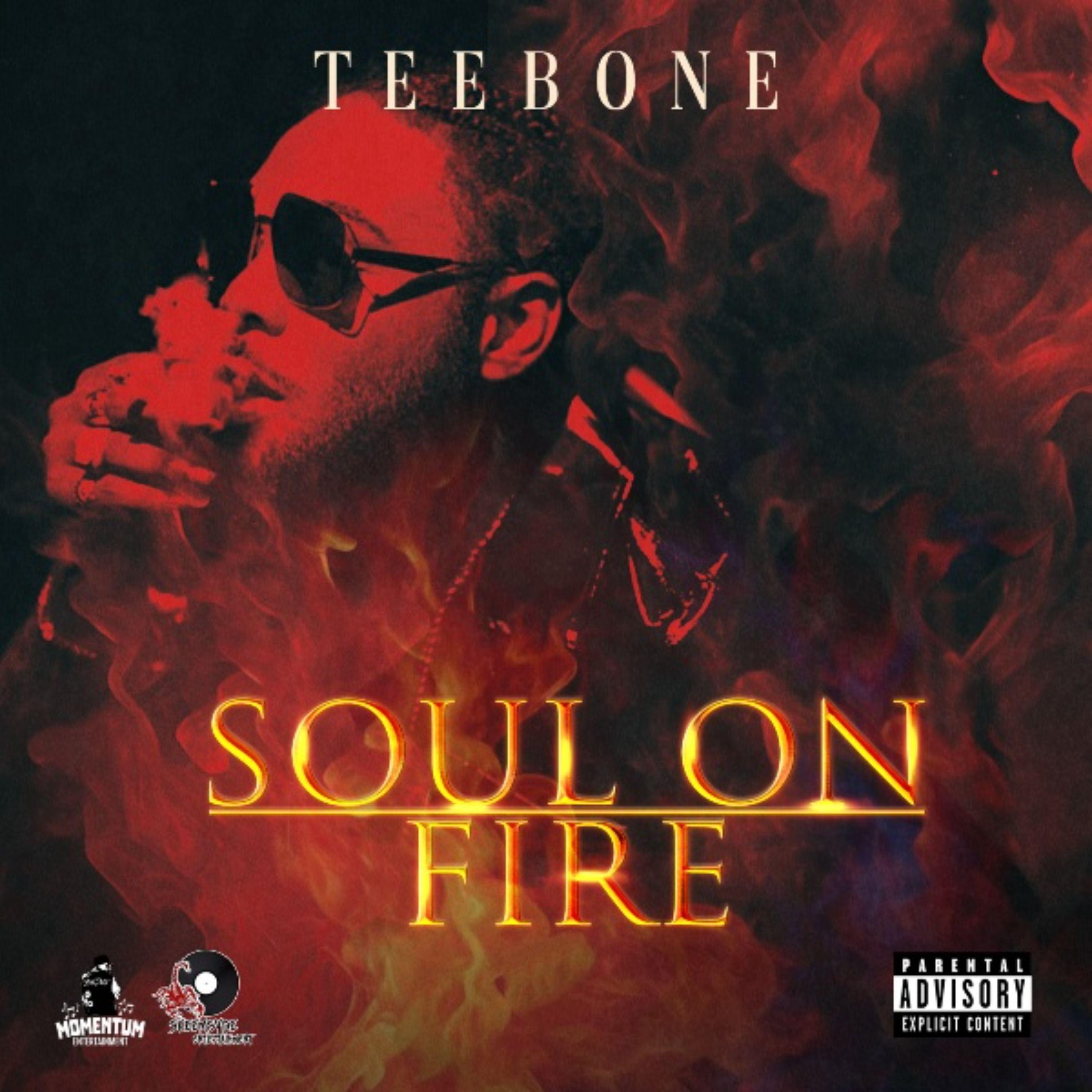 Постер альбома Soul on Fire