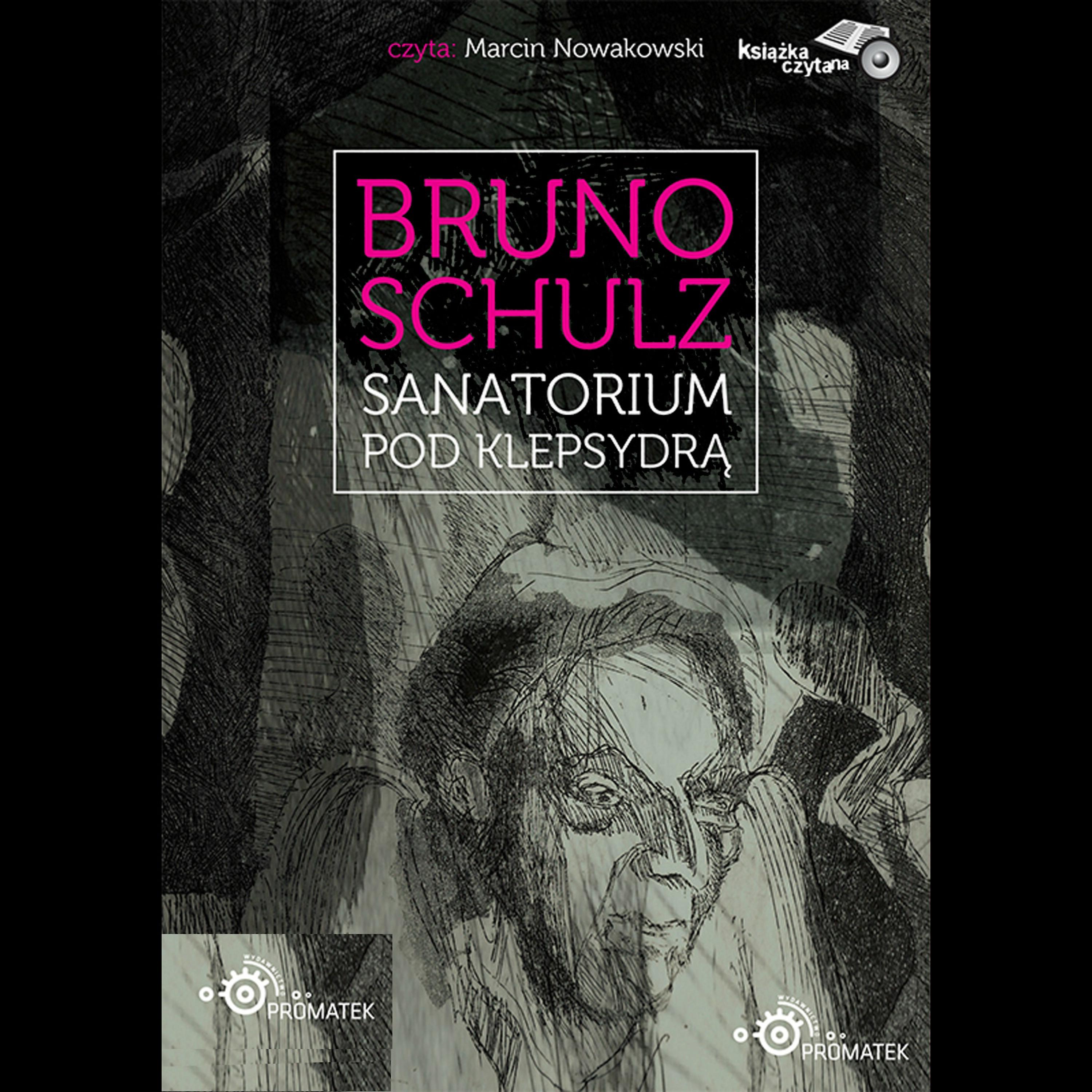Постер альбома Bruno Schulz: Sanatorium pod Klepsydrą