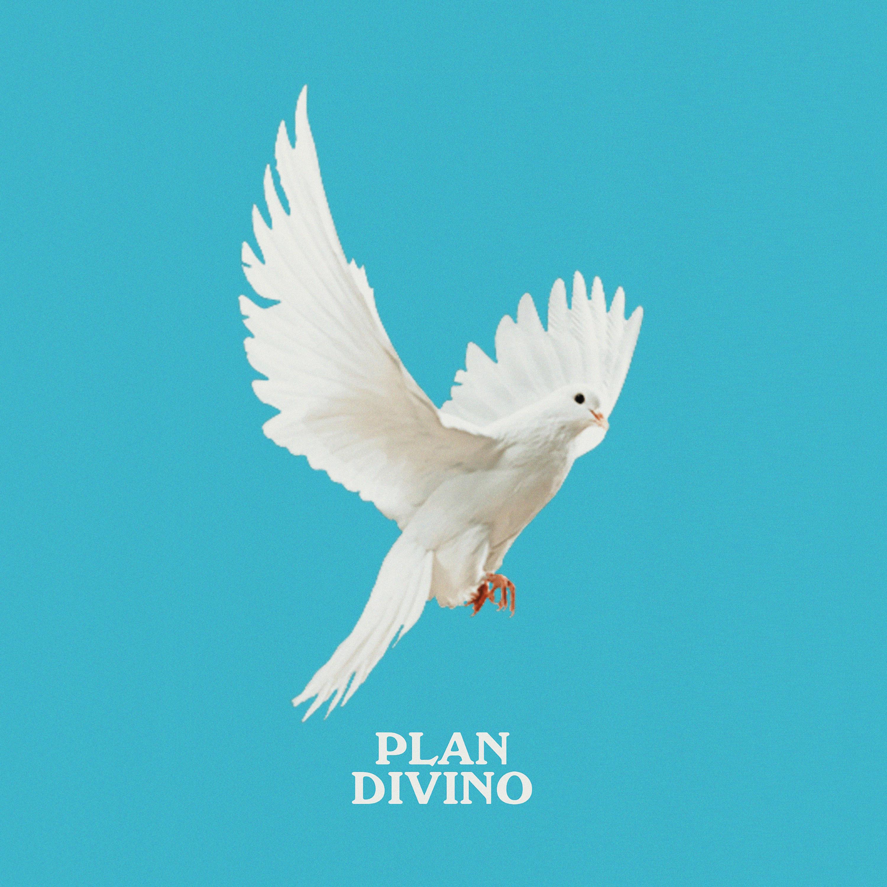 Постер альбома Plan Divino