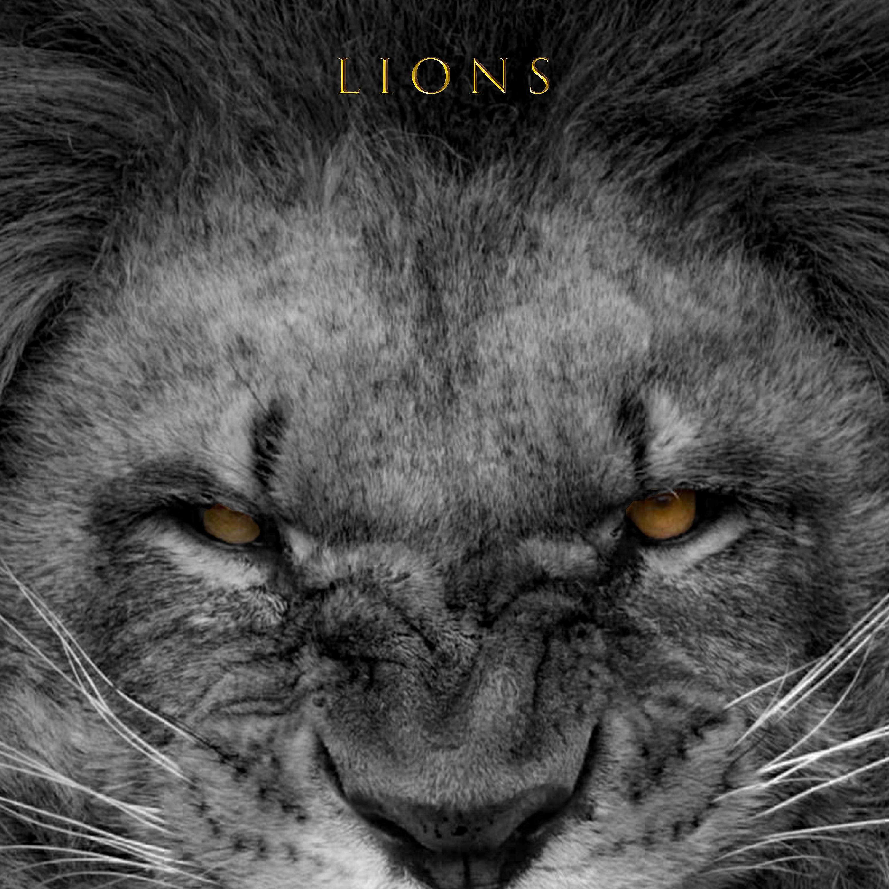 Постер альбома Lions
