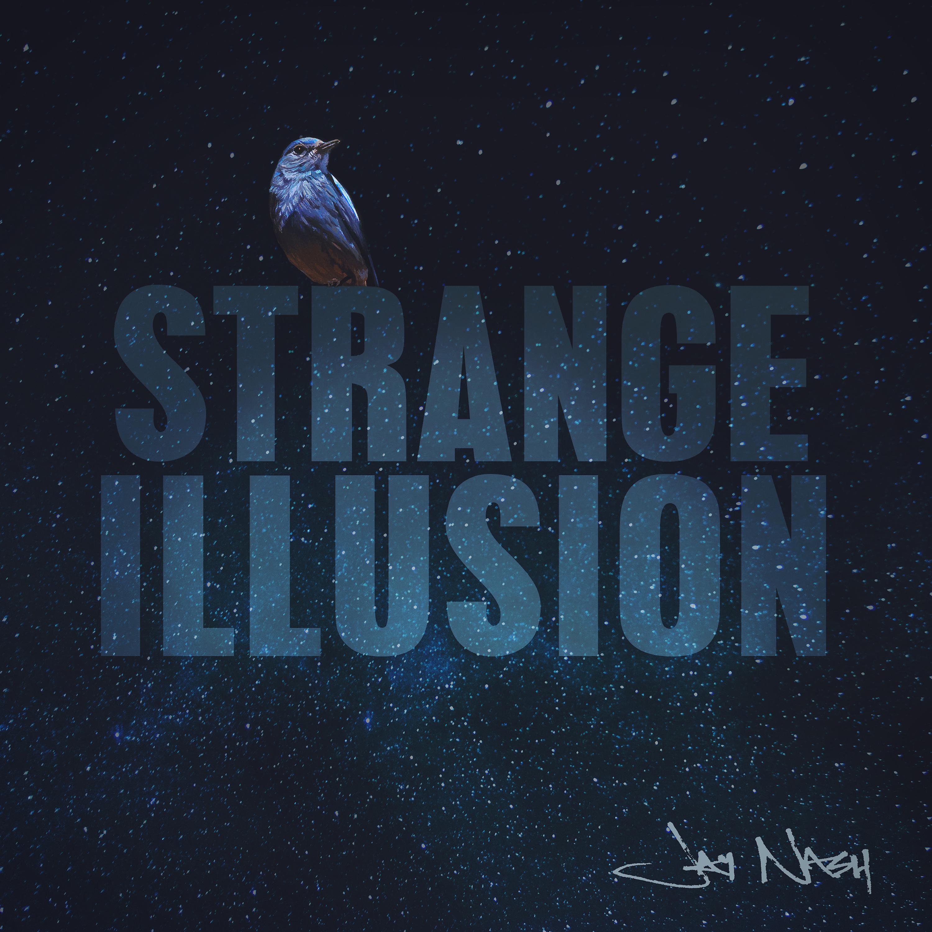Постер альбома Strange Illusion