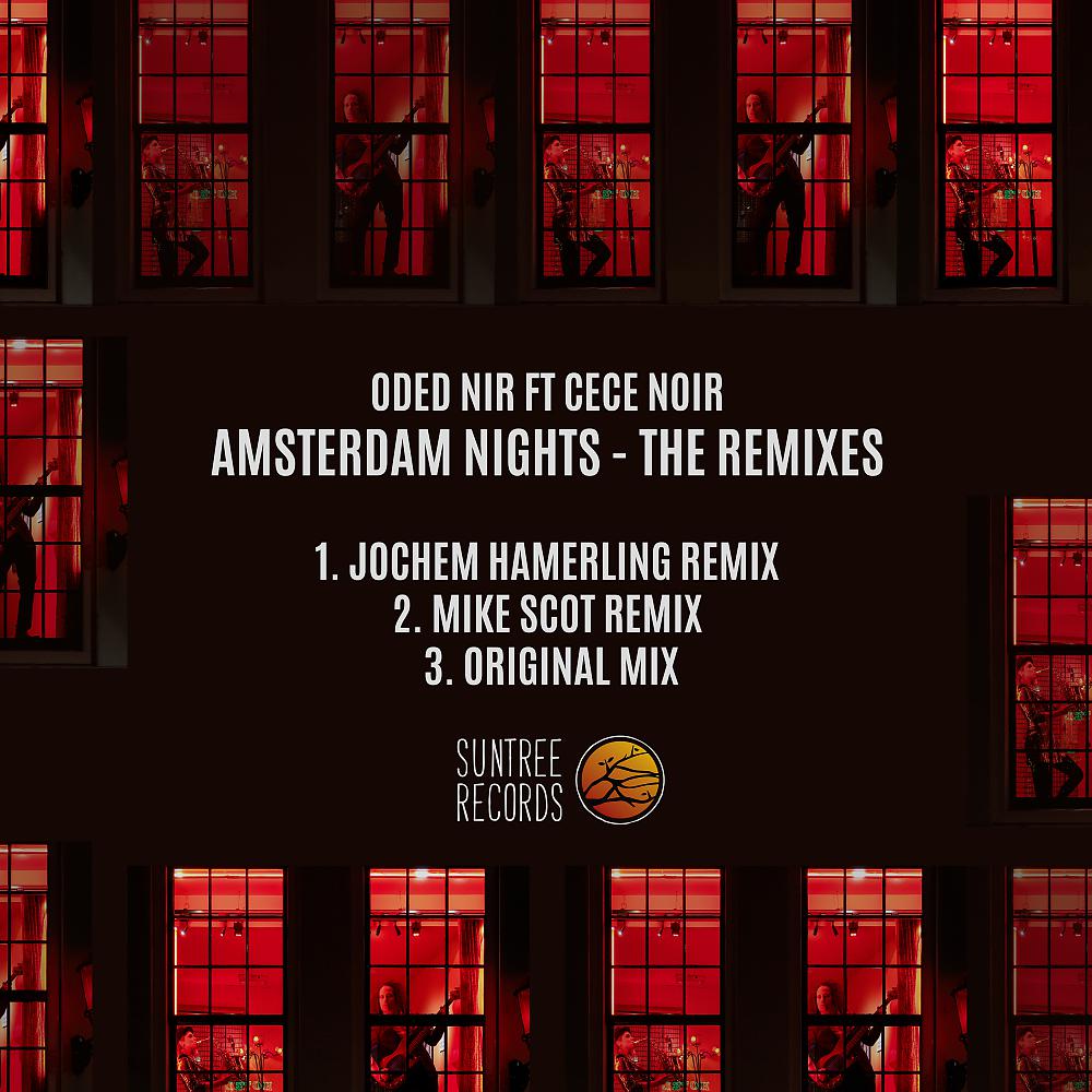 Постер альбома Amsterdam Nights (The Remixes)