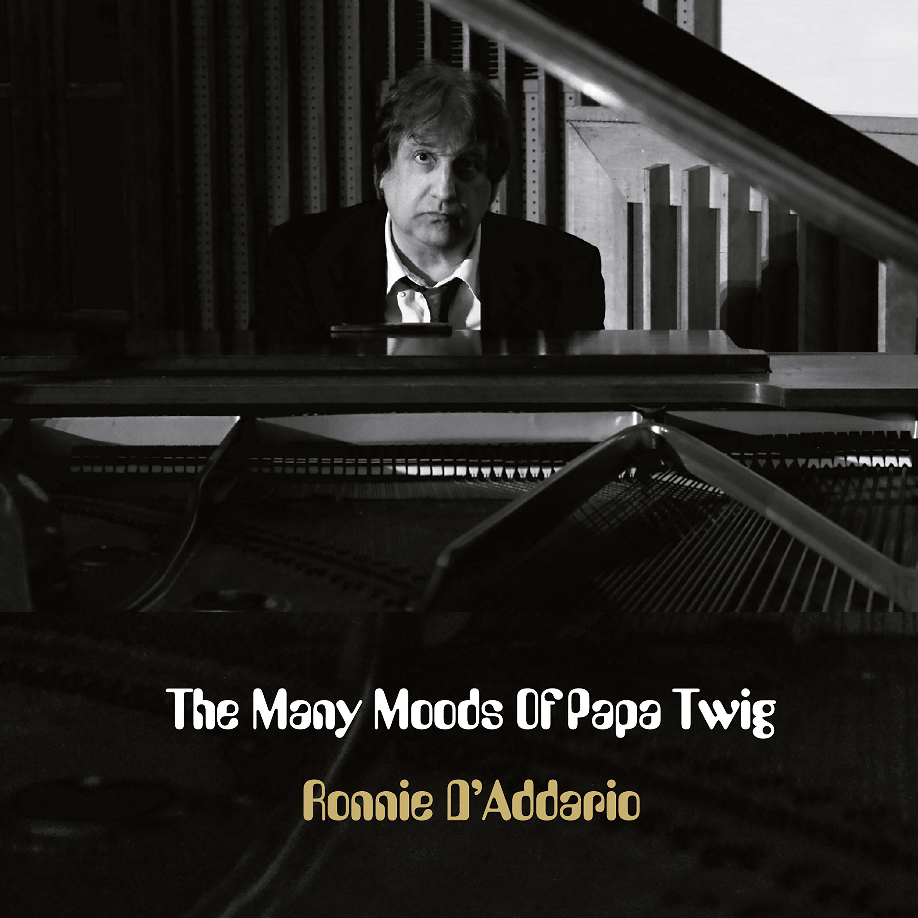 Постер альбома The Many Moods of Papa Twig